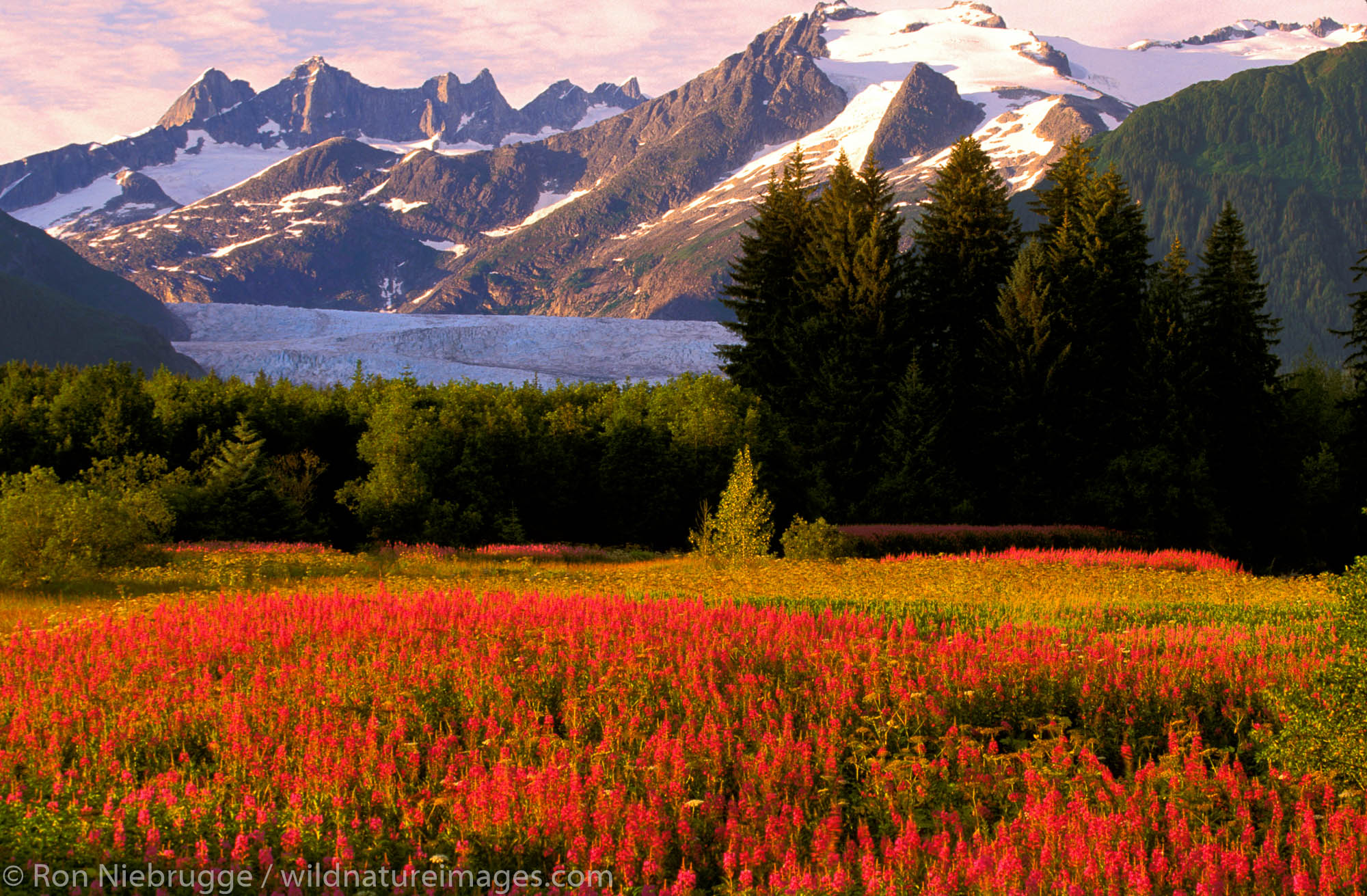 Brotherhood Park, Mendenhall Valley and Glacier, Juneau, Alaska.