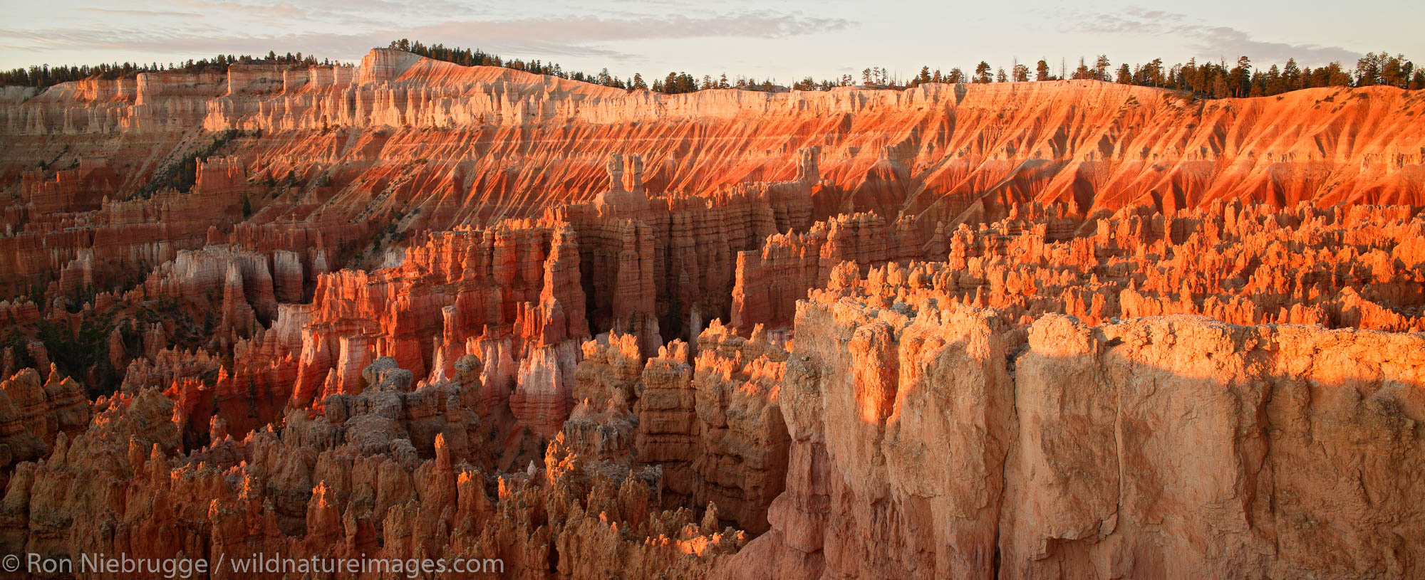 Bryce National Park at sunrise from Sunset Point, Utah.