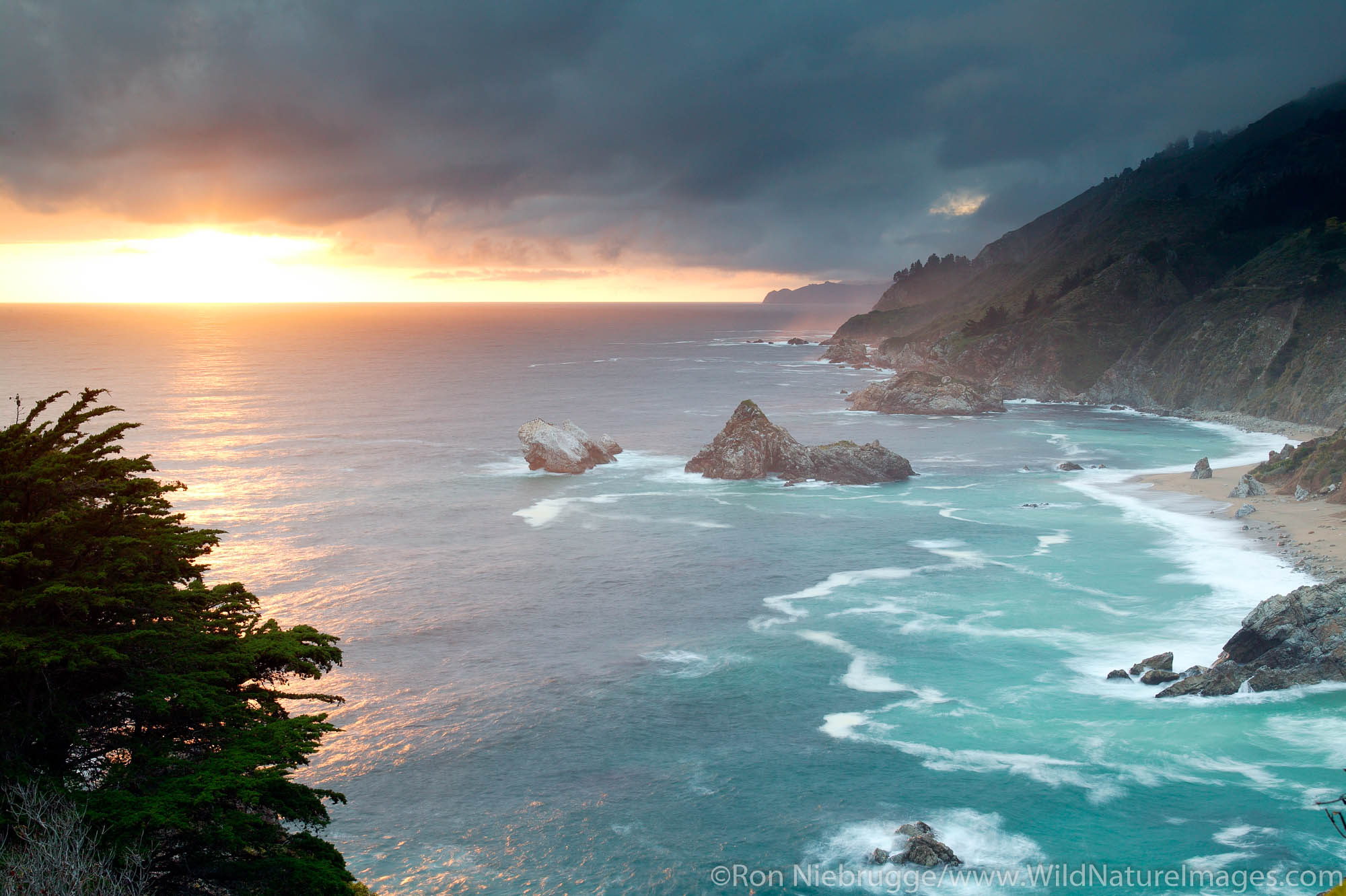 Julia Pfeiffer Burns State Park. Big Sur Coast, California.