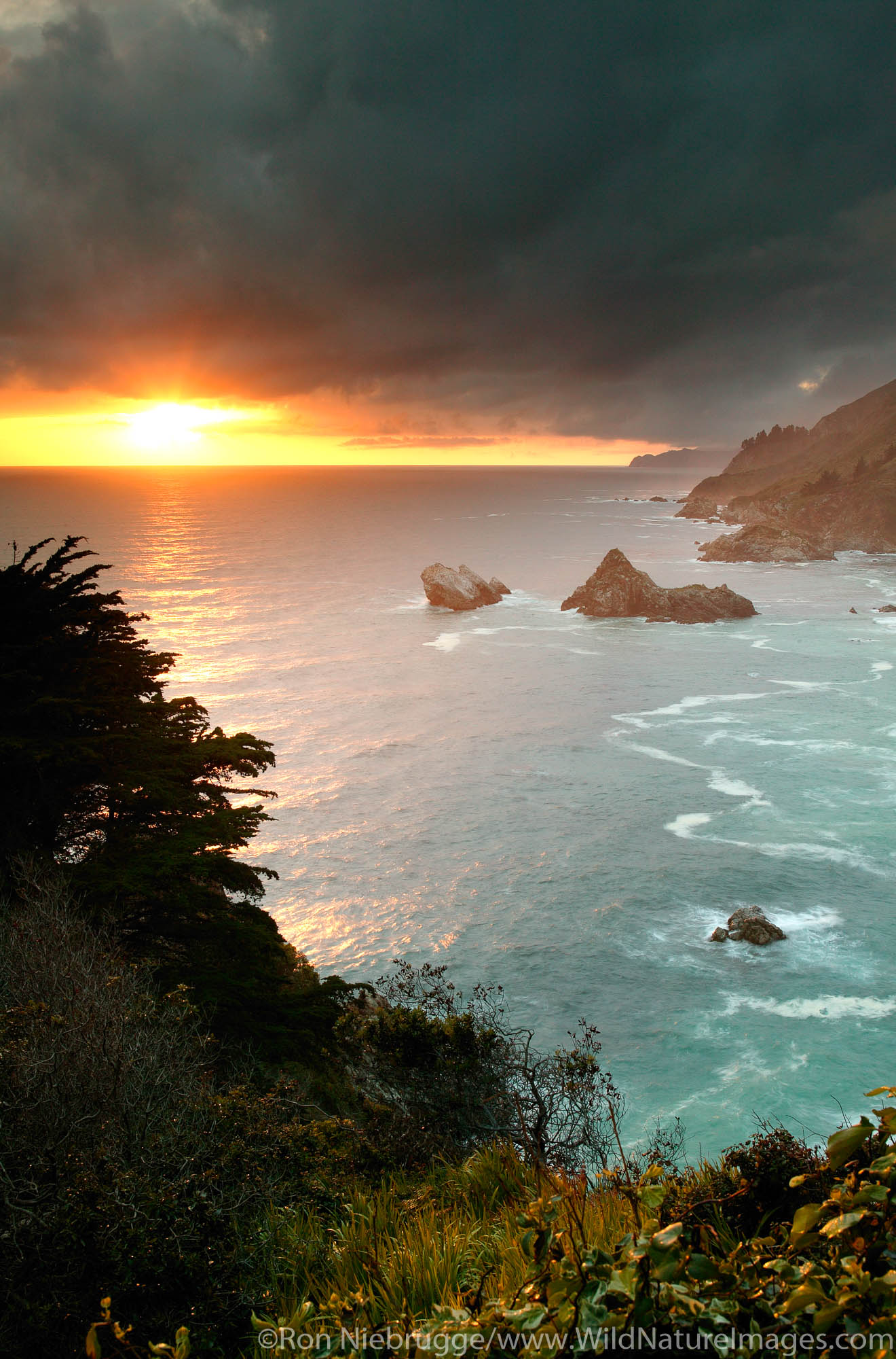 Julia Pfeiffer Burns State Park, Big Sur Coast, California