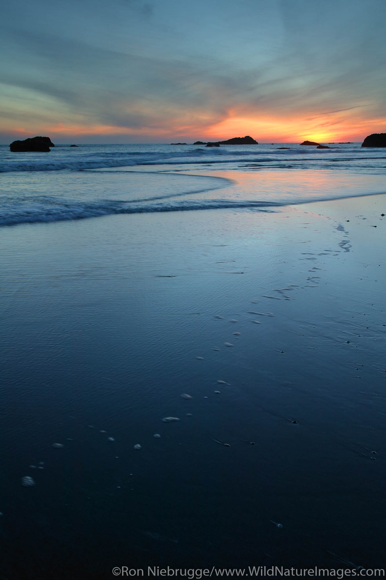 Sunset on Harris Beach.  Boardman State Park, Southern Oregon Coast, Brookings, Oregon.