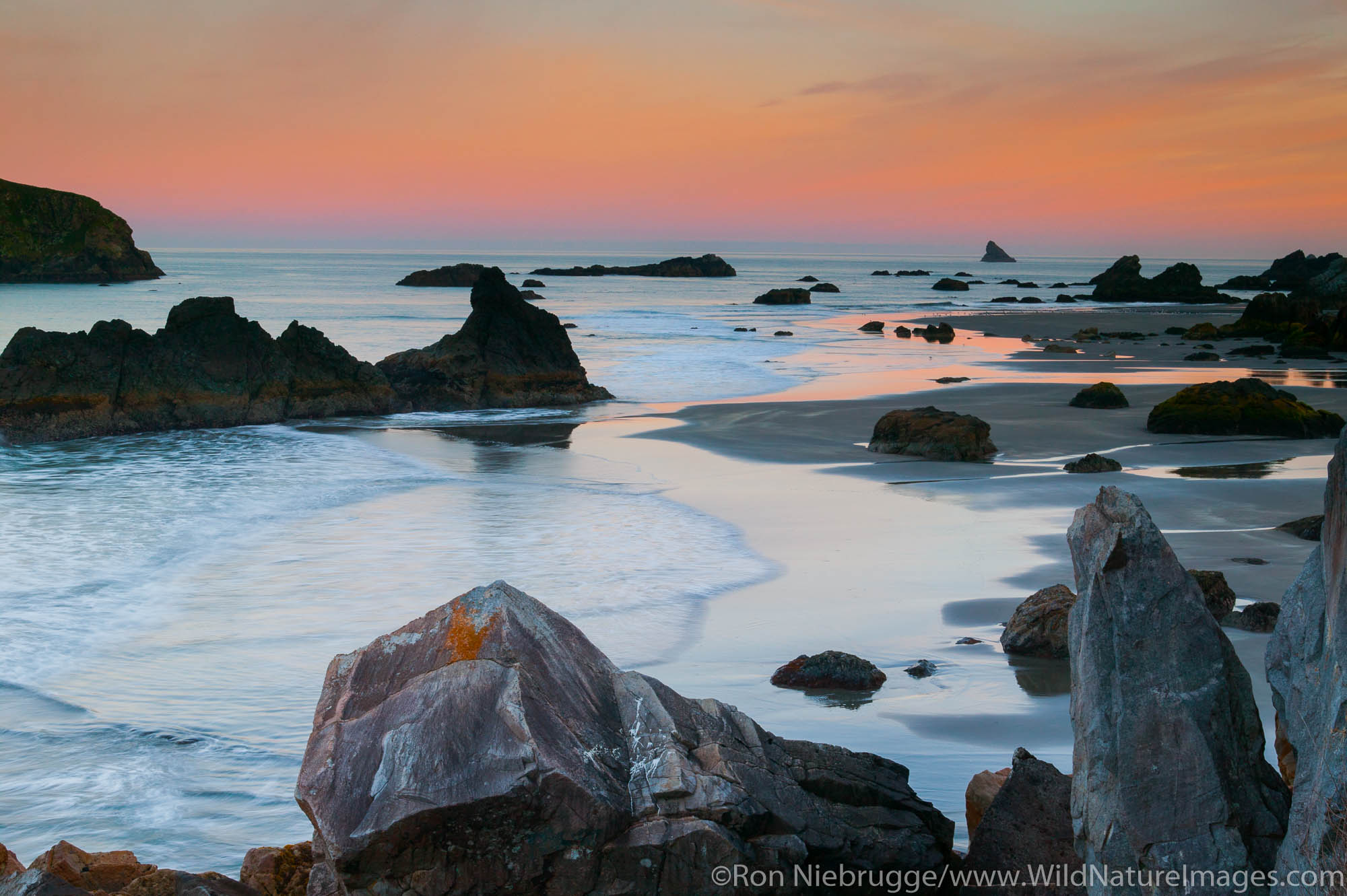 Oregon’s Coastal Gem: Harris Beach State Recreation Area – Where The Wild Coast Meets Serenity