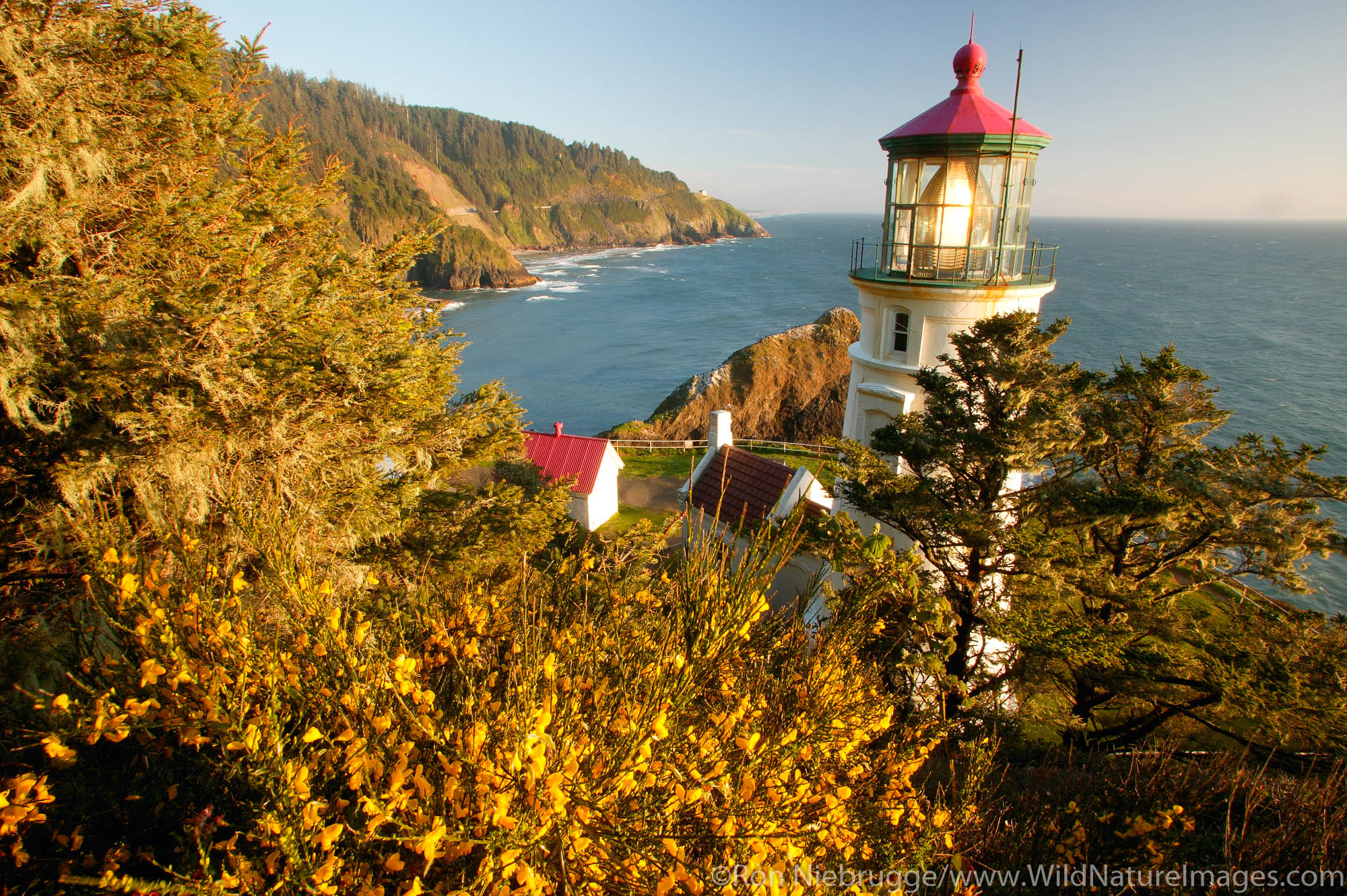 Heceta Head Lighthouse Photos by Ron Niebrugge