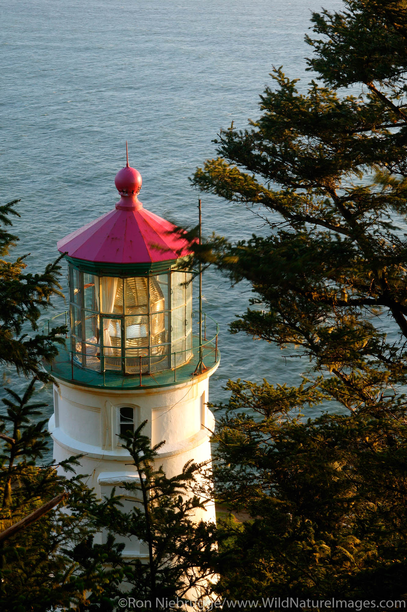 Heceta Head Lighthouse, Oregon.