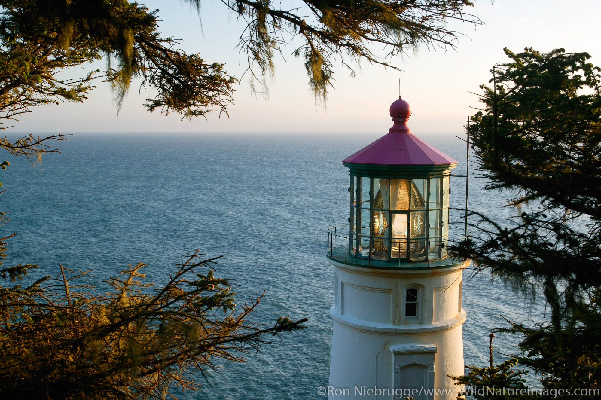 Heceta Head Lighthouse, Oregon