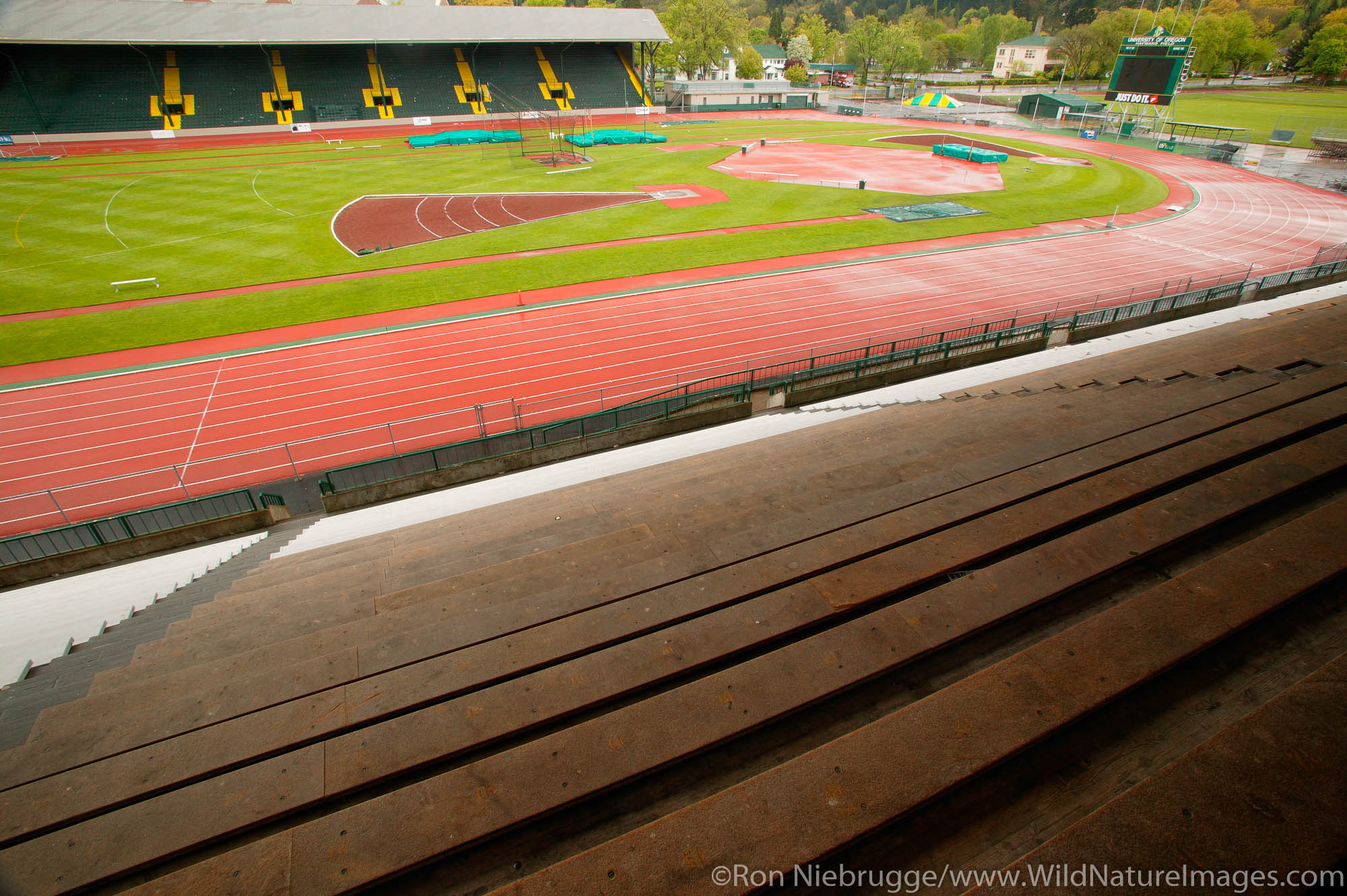 Hayward Field Track Photos by Ron Niebrugge
