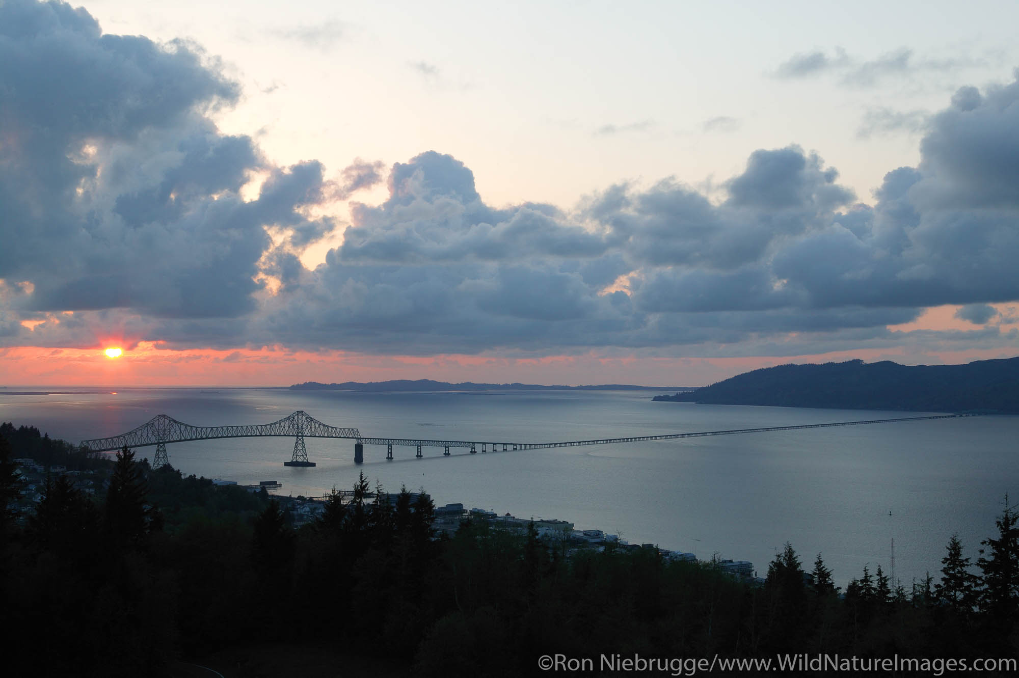 View of Columbia River and Astoria Bridge from Astoria Column Park.  Astoria, Oregon