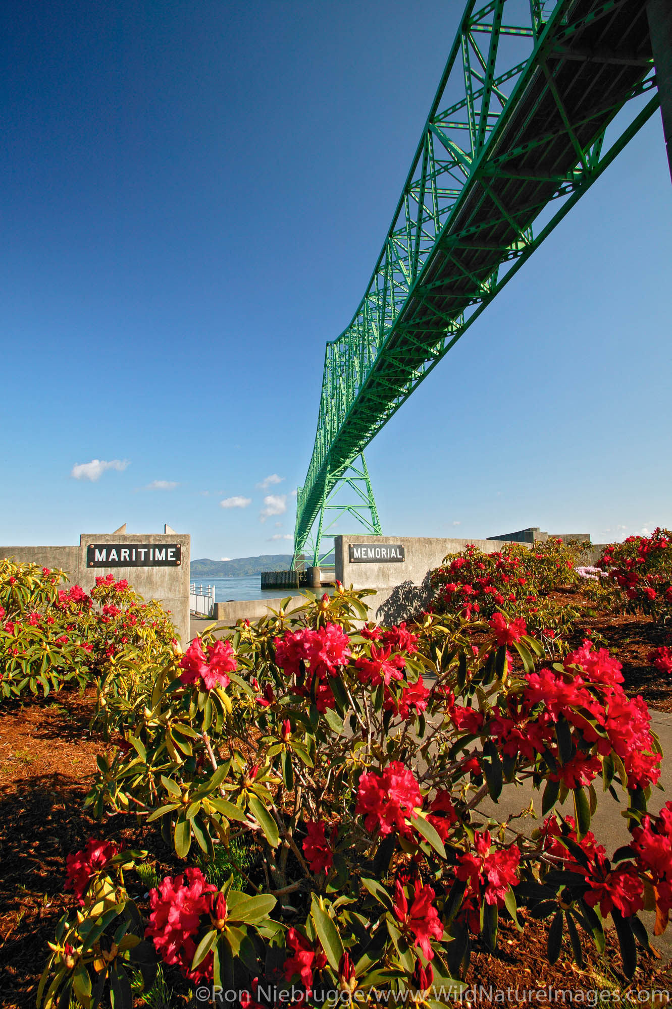 Astoria Bridge Photos by Ron Niebrugge