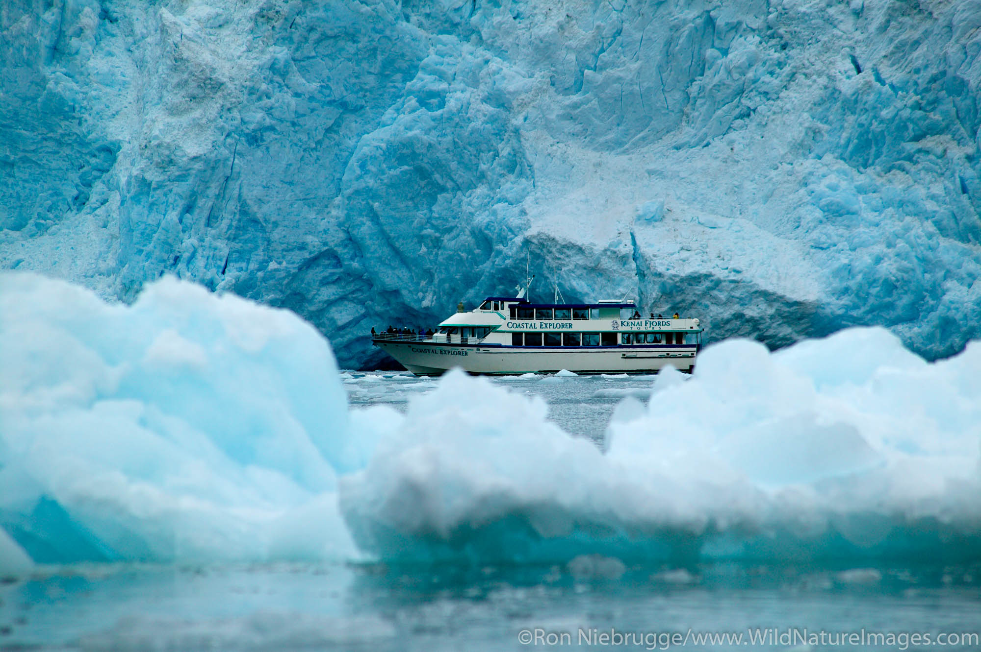 Kenai Fjords Tour boat, Holgate Glacier, Aialik Bay, Kenai Fjords National Park, Alaska