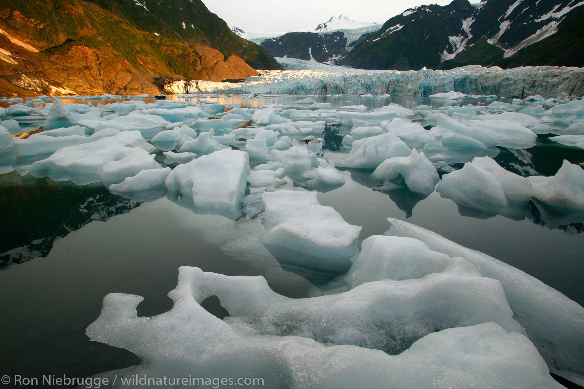 Pederson Glacier and Lagoon, Aialik Bay, Kenai Fjords National Park, Alaska.