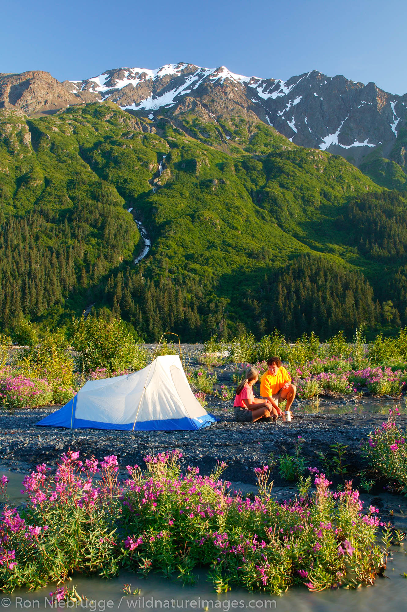 Tent camping near the Resurrection River with Mt. Benson in background.  Chugach National Forest and Kenai Fjords National Park...