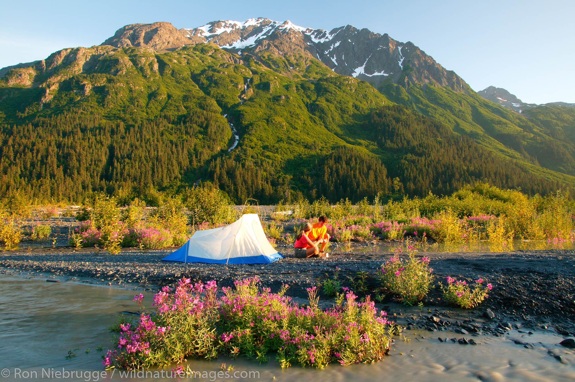 Tent camping near the Resurrection River with Mt. Benson in background.  Chugach National Forest and Kenai Fjords National Park...