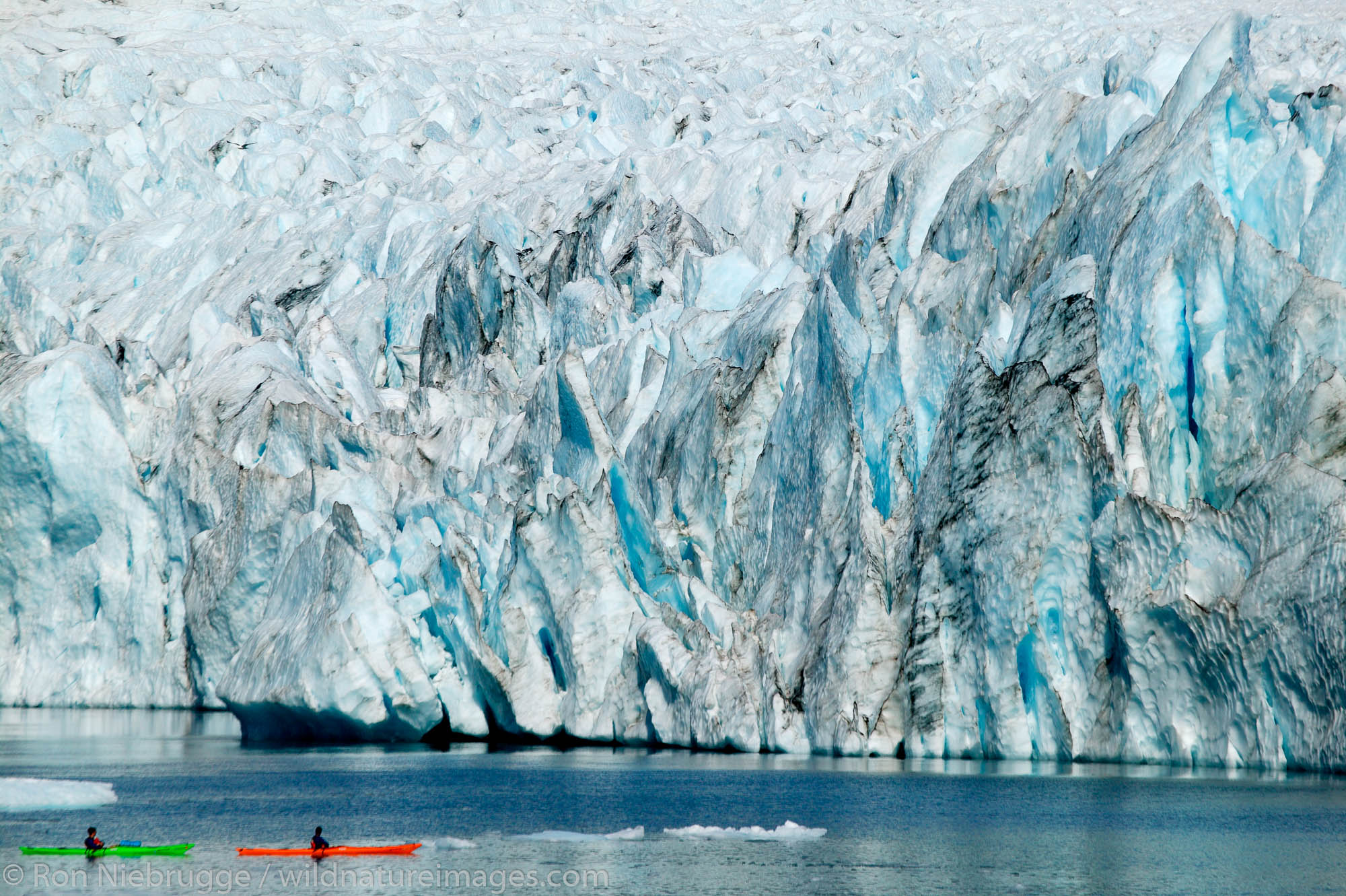 Kayakers at Pedersen Glacier, Aialik Bay, Kenai Fjords National Park, Alaska.