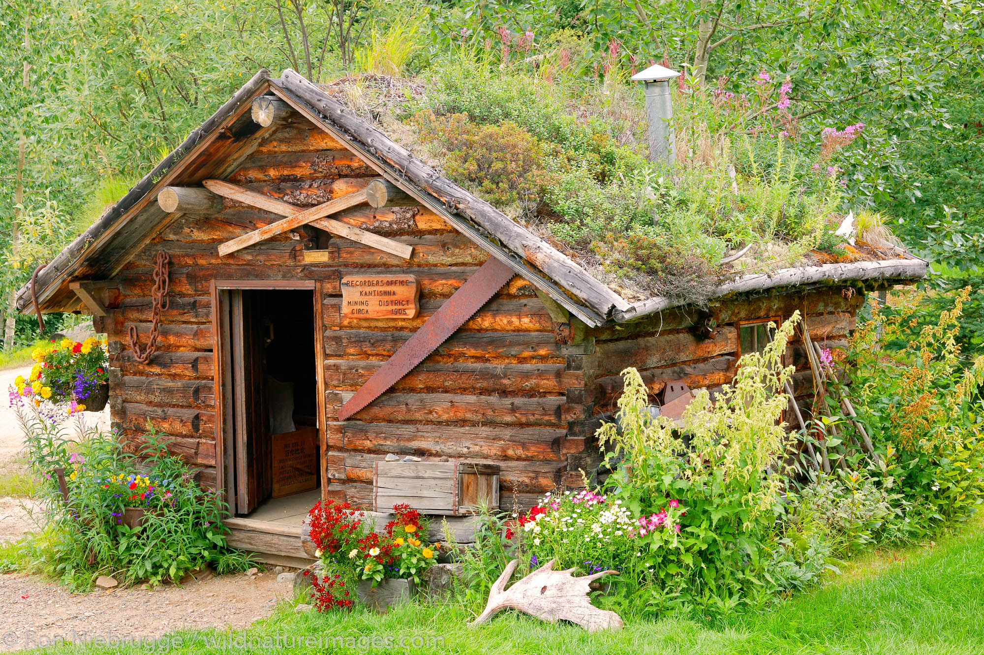 Historic cabin, Recorder's Office, Kantishna Mining District, Denali National Park, Alaska.