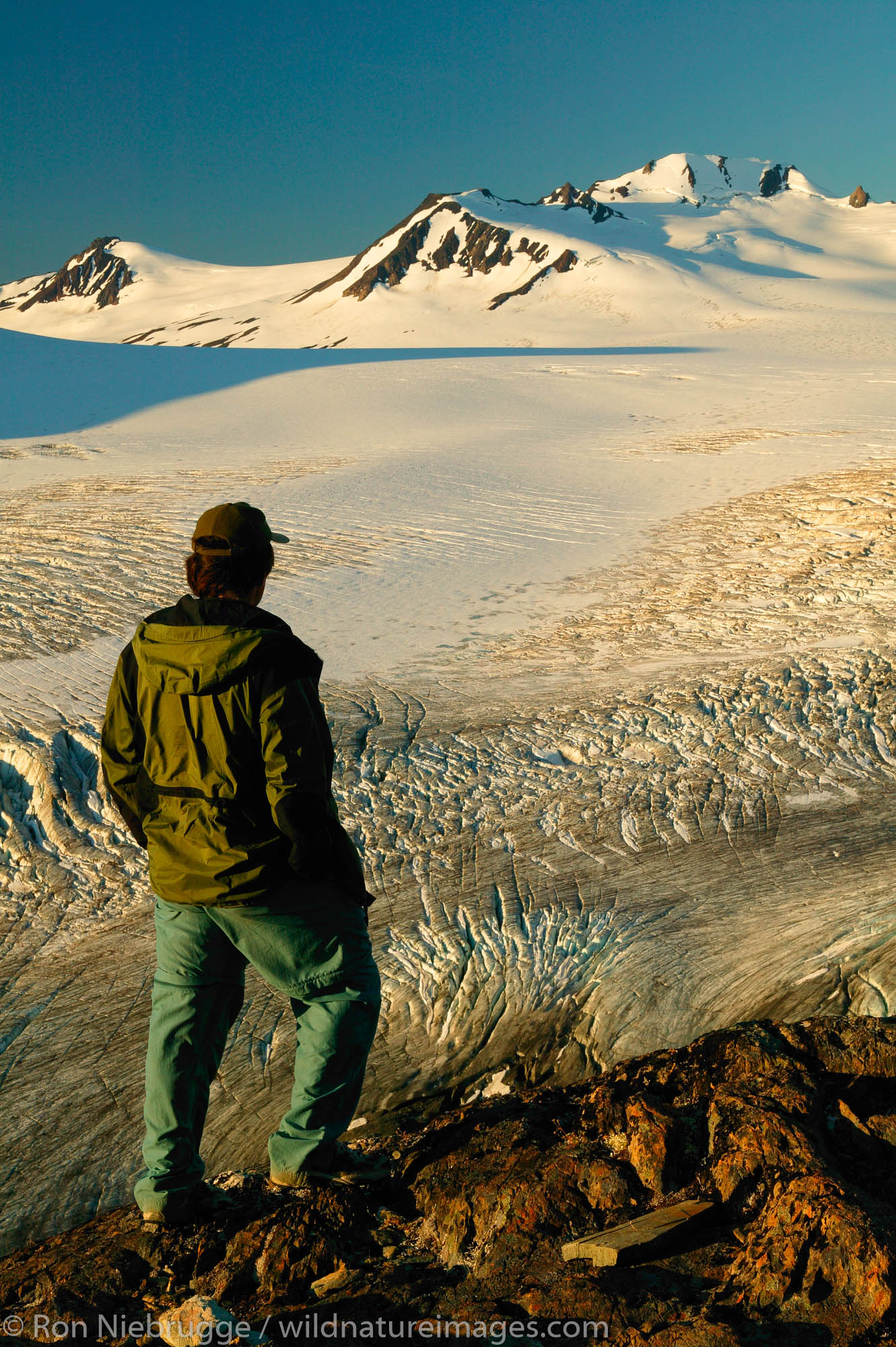 Hiker (MR) views Exit Glacier and the Harding Icefield, Kenai Fjords National Park, Alaska.  MR.