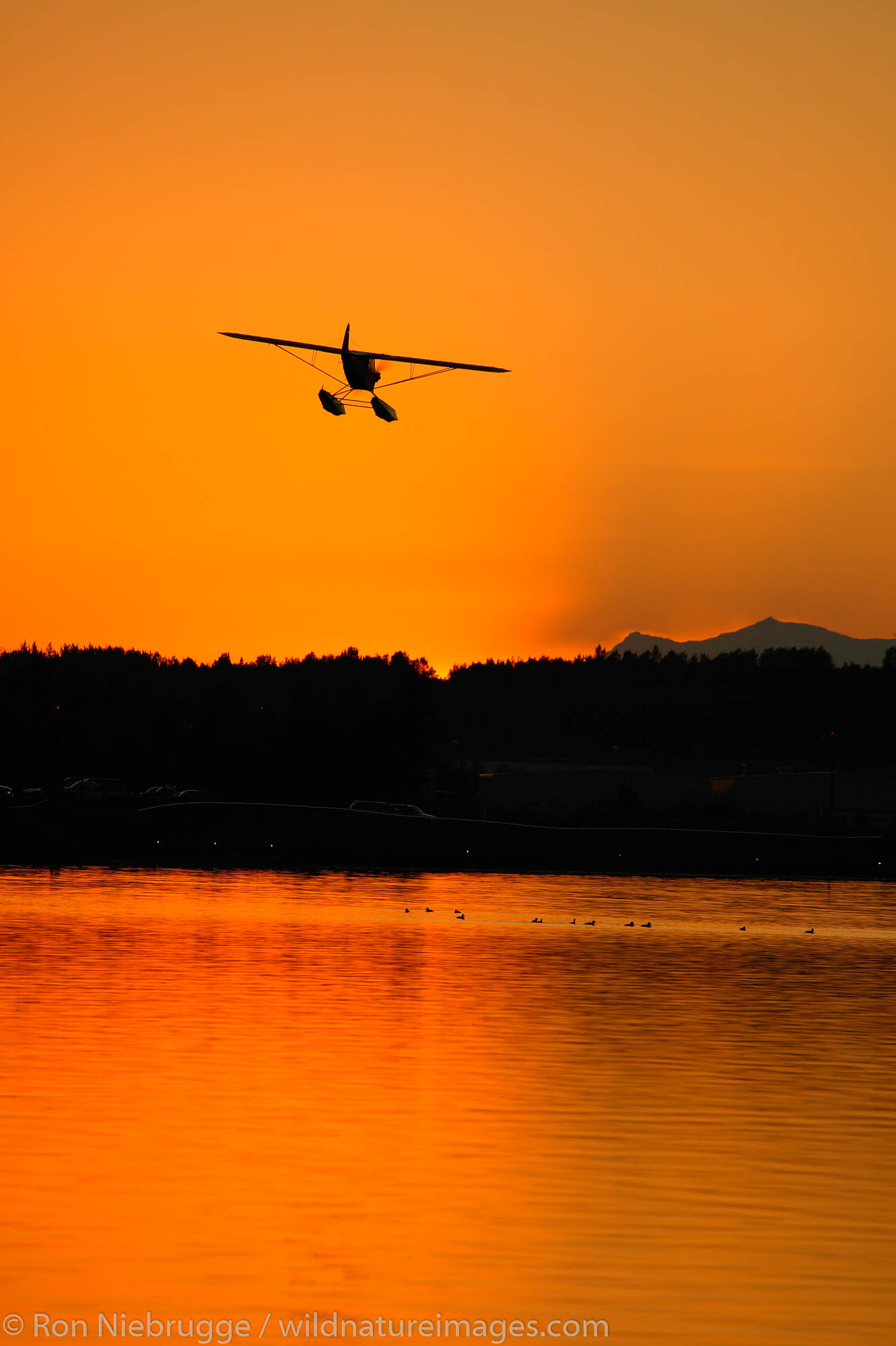 A float plane at Lake Hood, Anchorage, Alaska.  Lake Hood is the world's largest and busiest seaplane base.