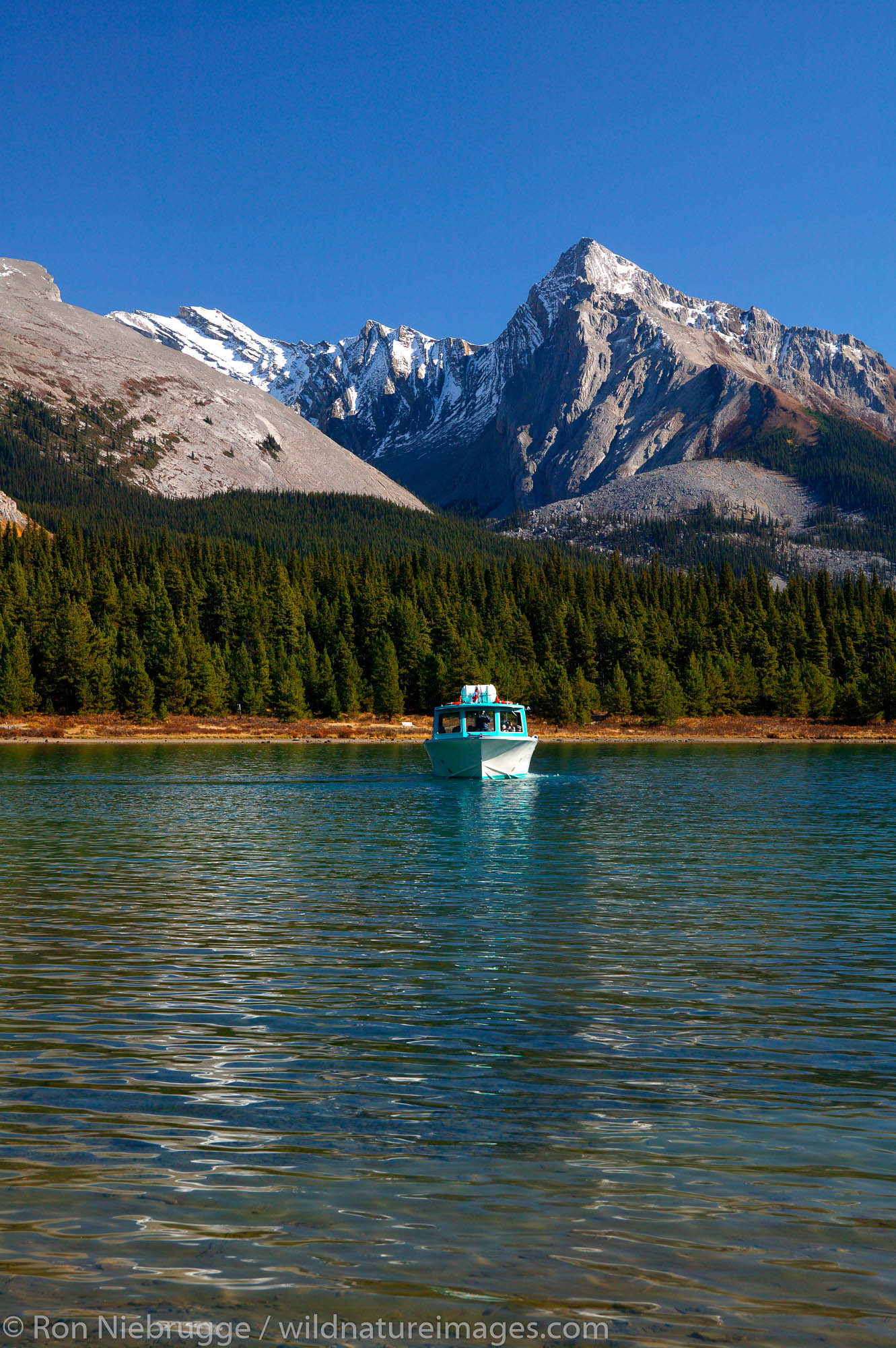 Tour boat on Maligne Lake, Jasper National Park, Alberta, Canada.