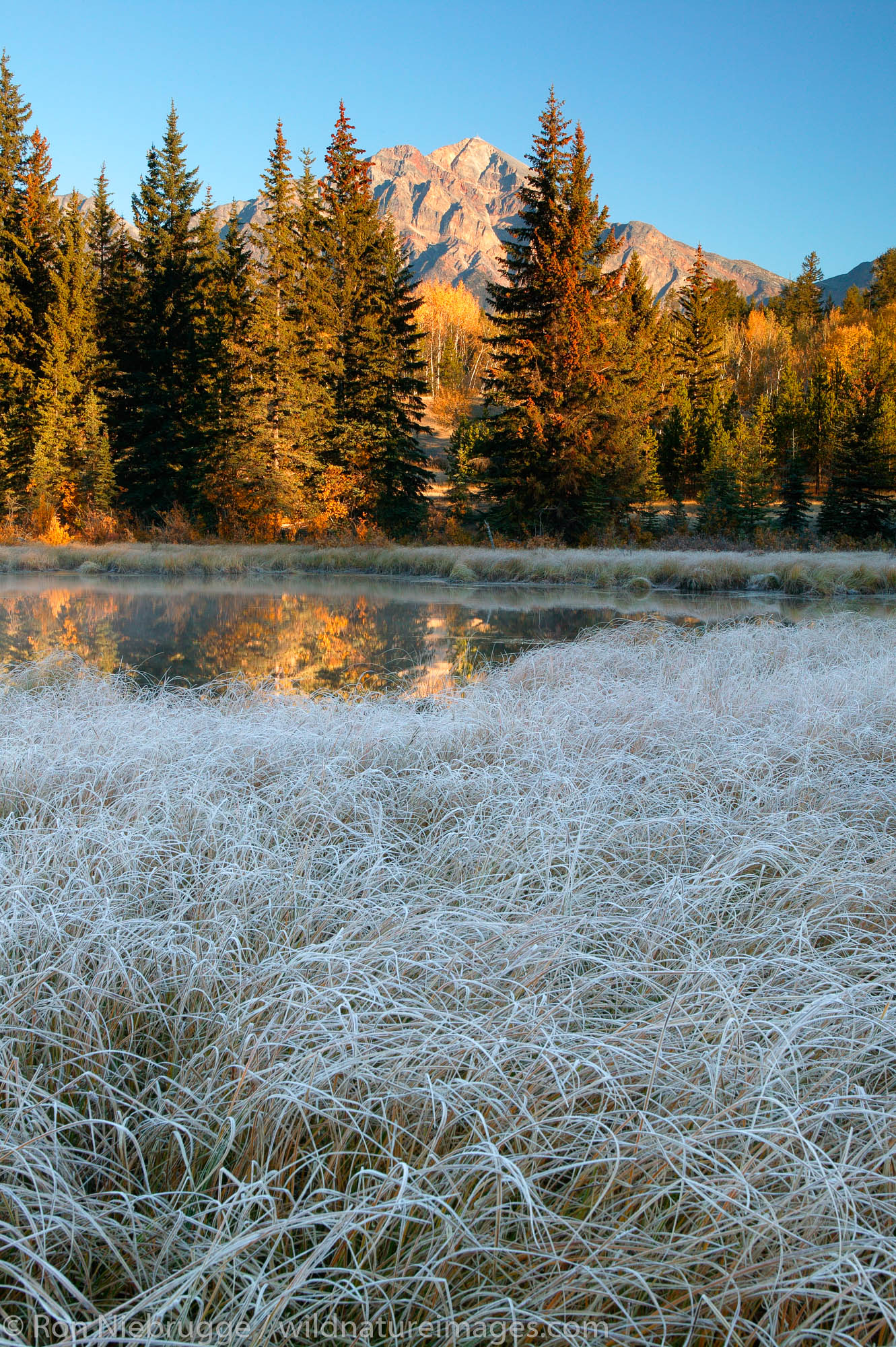 Frost on the ground at Cottonwood Slough with Pyramid Mountain in the background, Jasper National Park, Alberta, Canada.