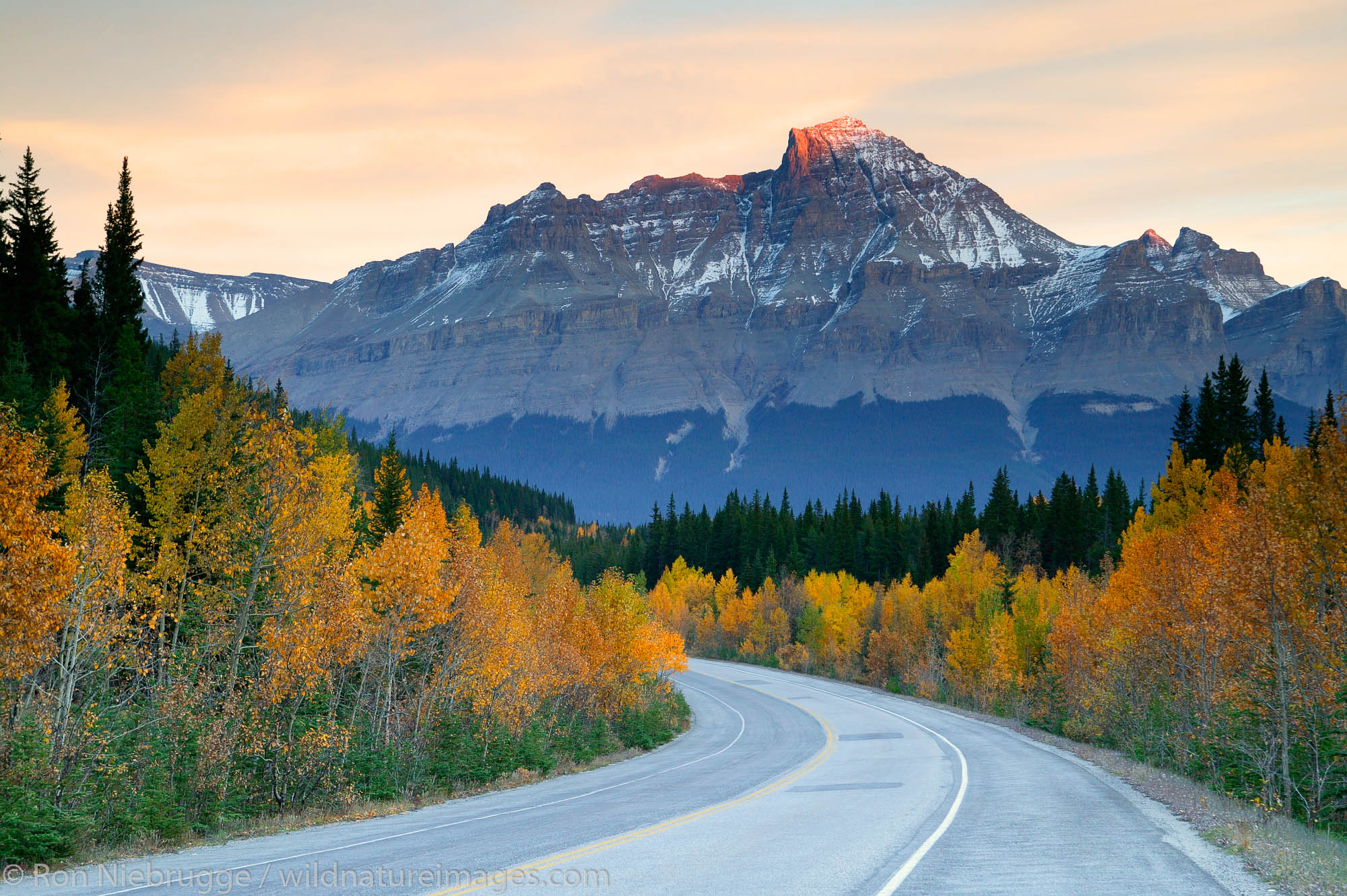 Icefields Parkway in the fall, Banff National Park, Alberta, Canada.