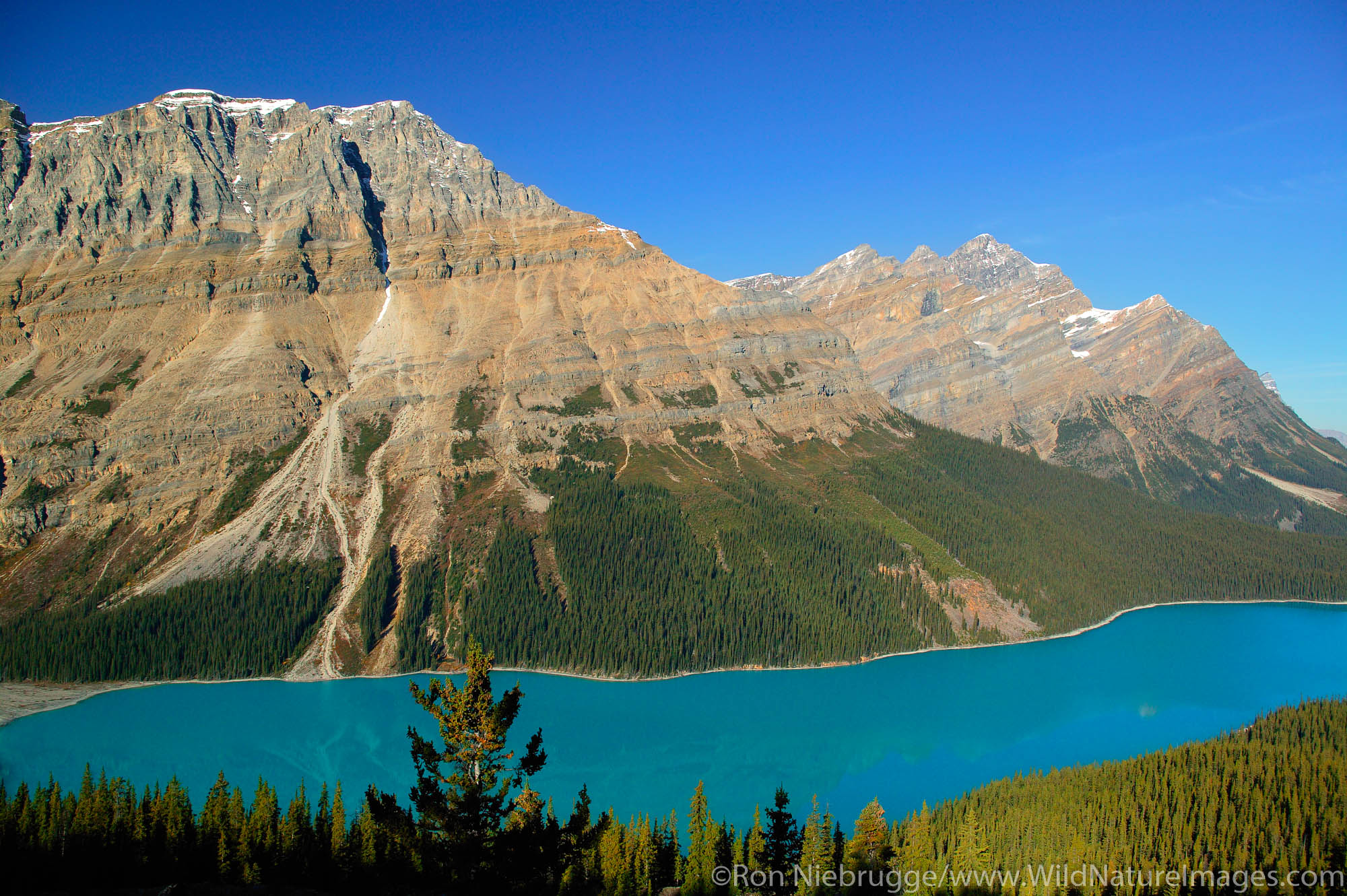Peyto Lake at Bow Summit, Banff National Park, Alberta, Canada.