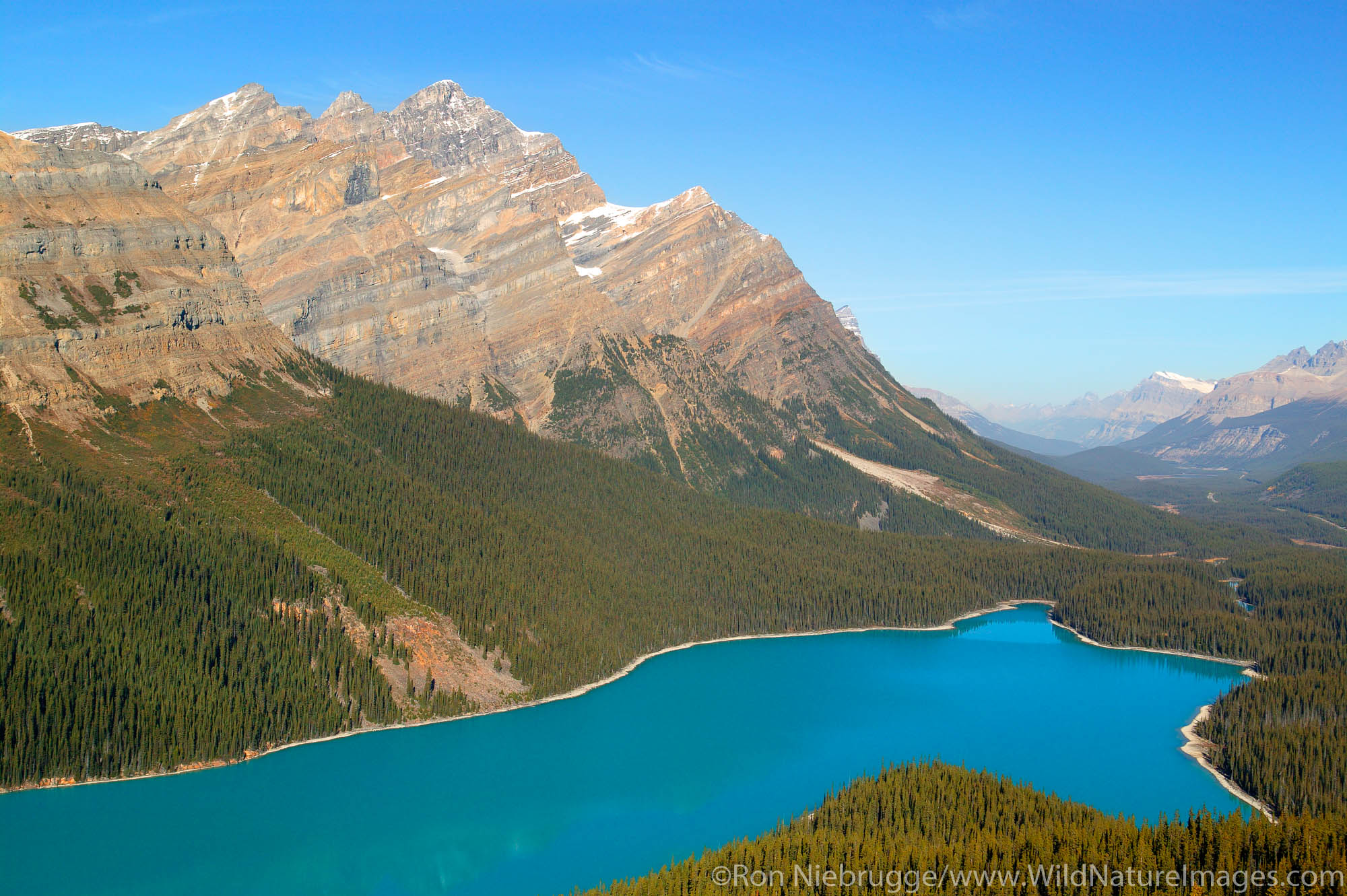 Peyto Lake at Bow Summit, Banff National Park, Alberta, Canada.
