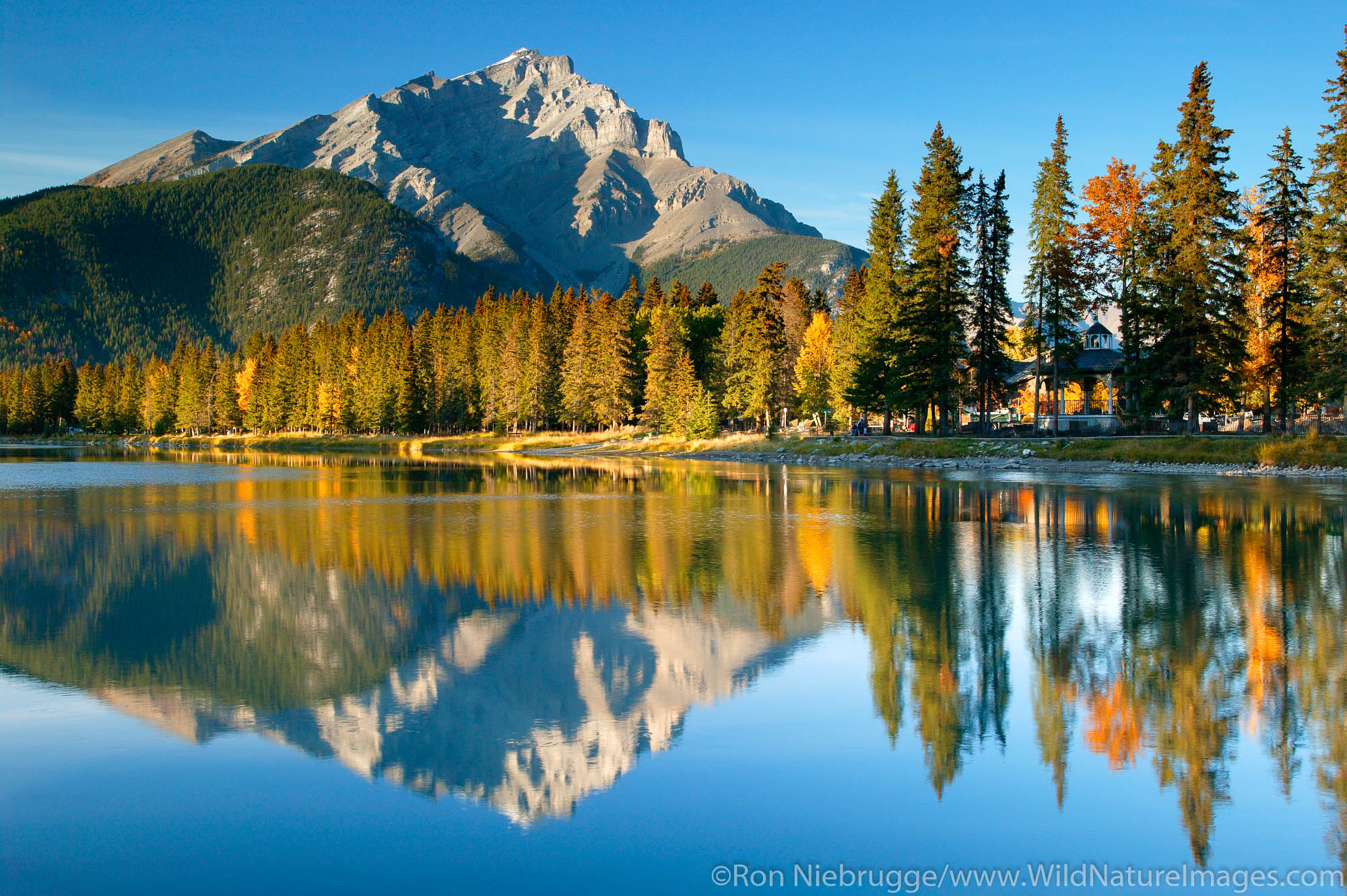 The Bow River flows through the town of Banff with Cascade Mountain in the background, Banff National Park, Alberta, Canada.