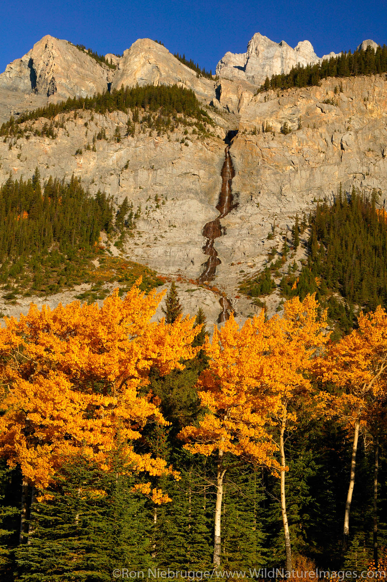 A waterfall flows down the face of Cascade Mountain (2,997 m) in the fall, Banff National Park, Alberta, Canada.