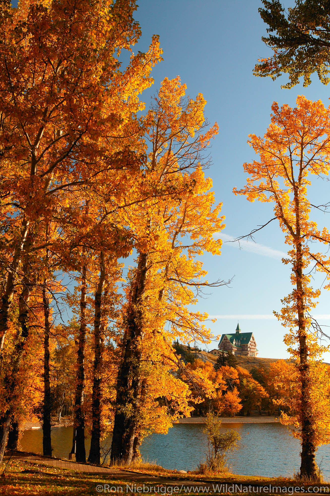 Prince of Wales Hotel from Upper Waterton Lake during the Fall, Waterton Lakes National Park, Alberta, Canada.