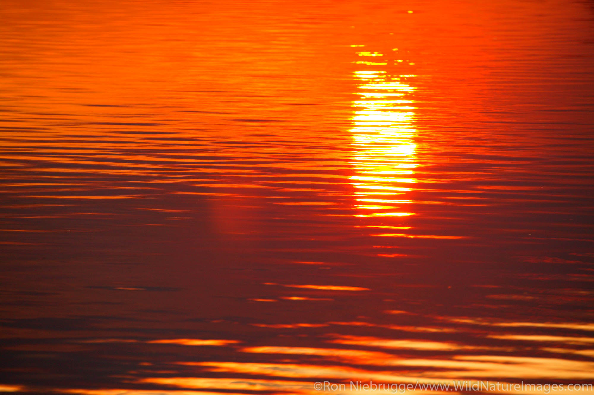 Missouri River at sunset, Great Falls, Montana.