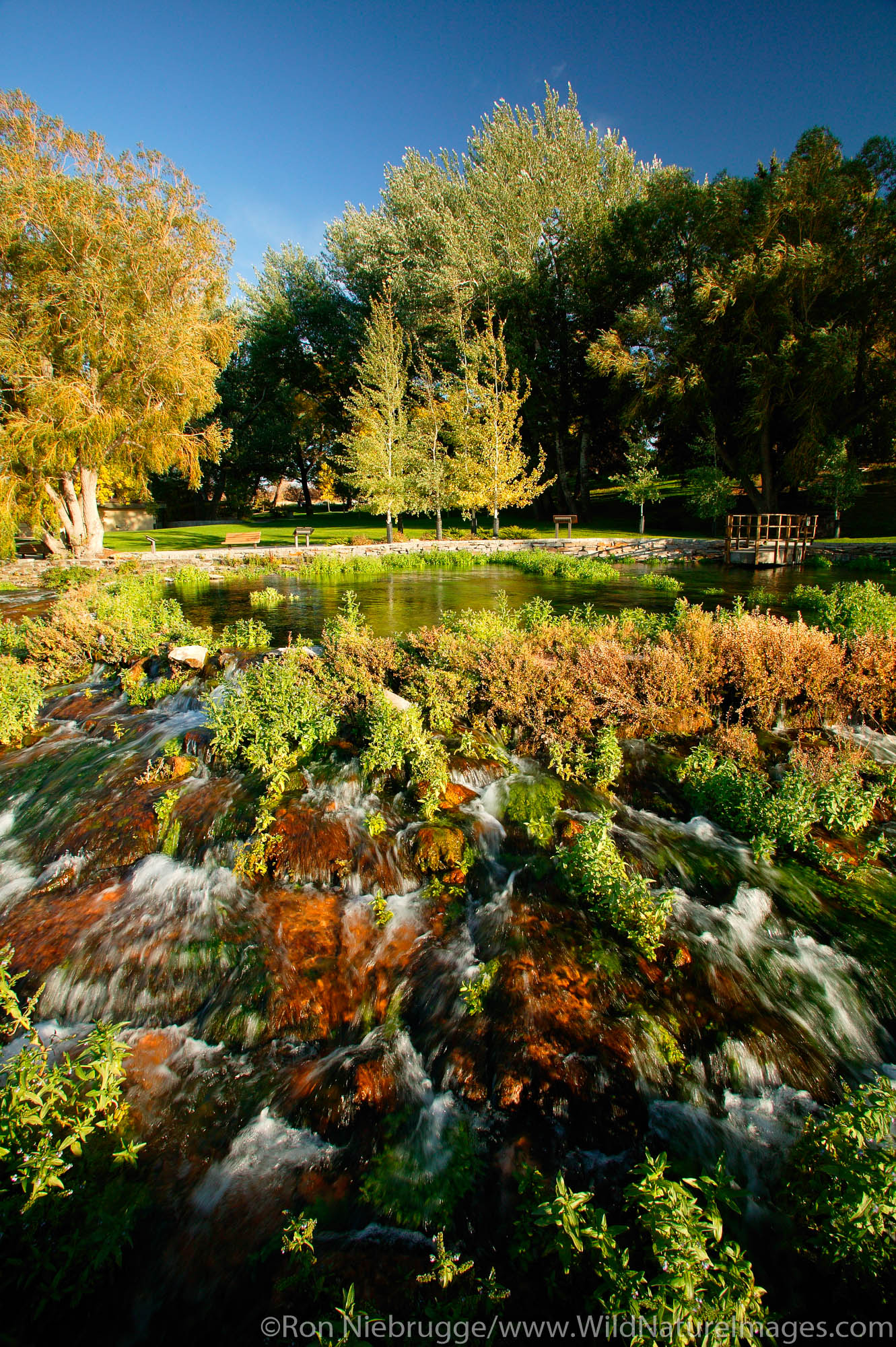 This Spring, originally discovered by Lewis and Clark is one of the most productive springs in the world, Giant Spring Heritage...