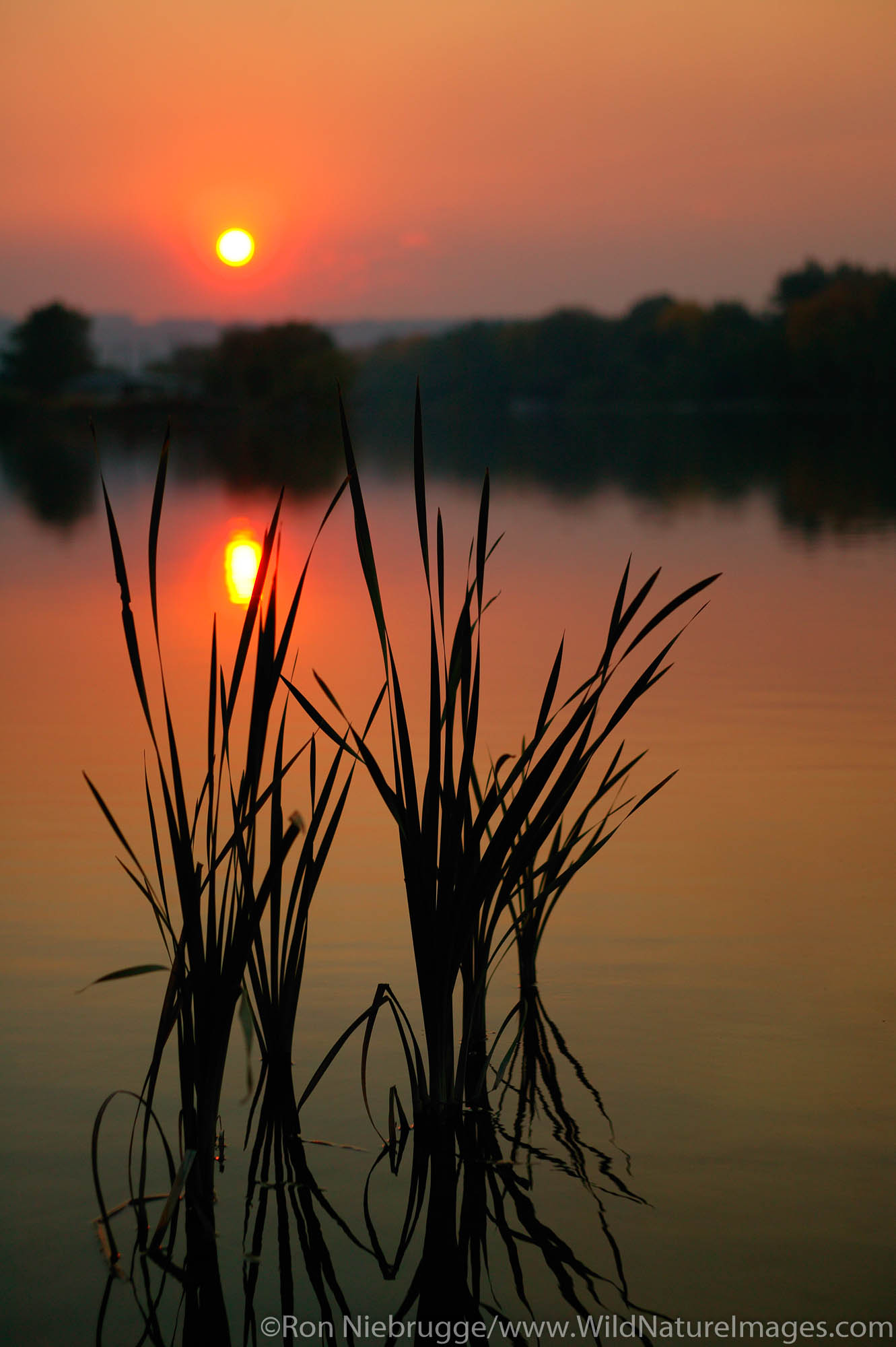 Missouri River at Sunset, Great Falls, Montana.