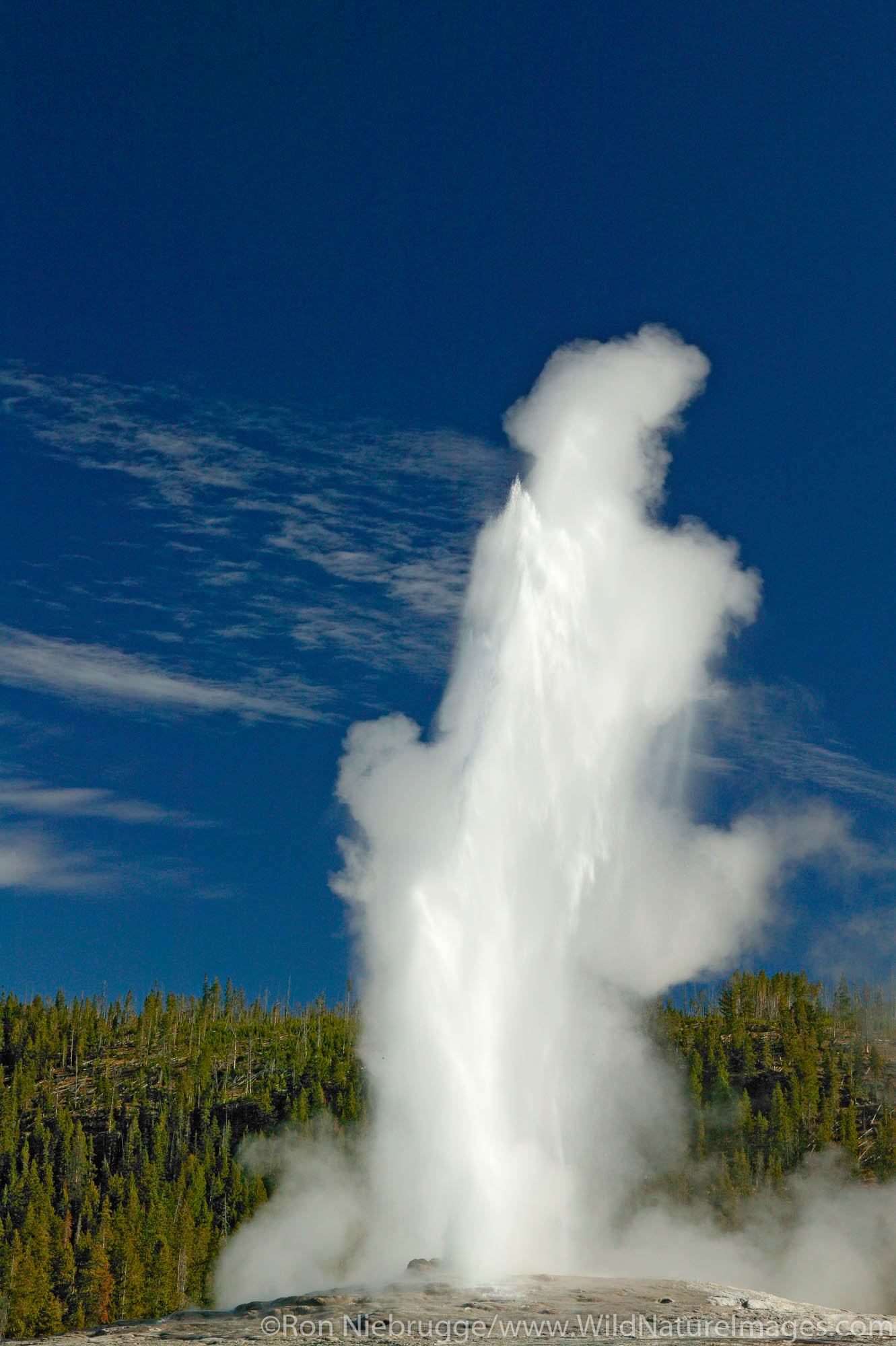 Old Faithful Geyser, Yellowstone National Park, Wyoming.