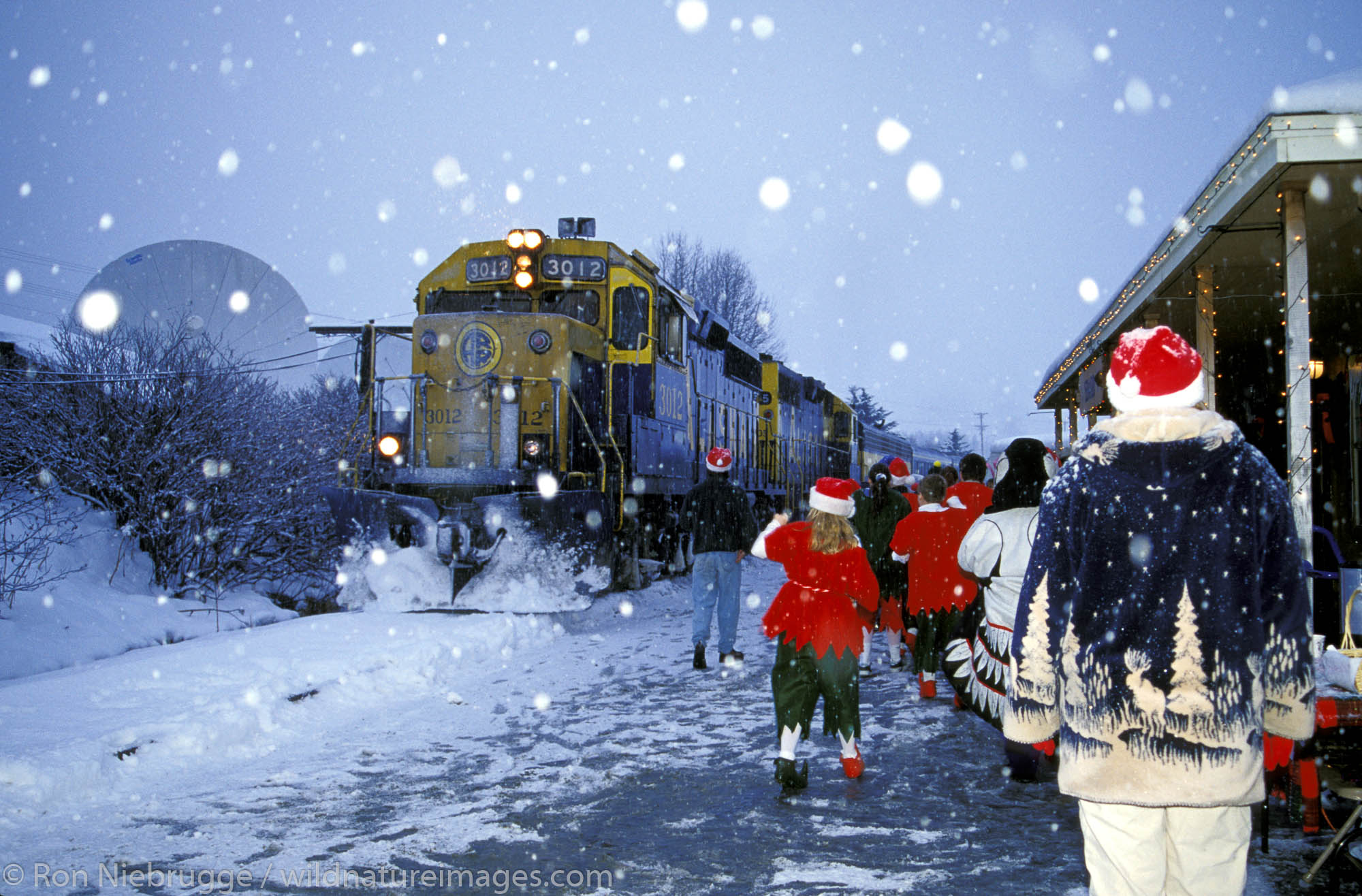Seward Christmas Train Alaska Photos by Ron Niebrugge