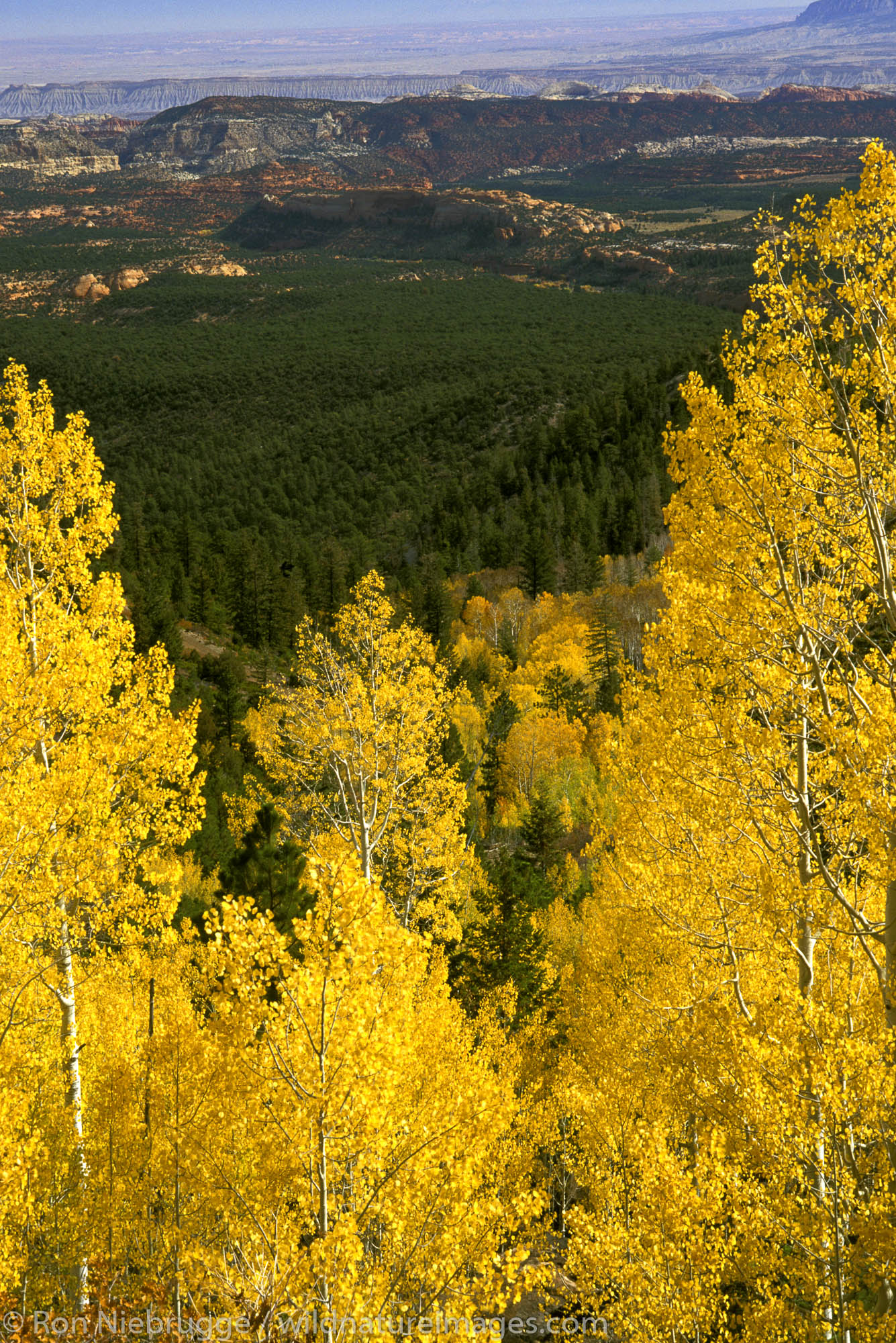 View of Capitol Reef National Park from Dixie National Forest, Utah.