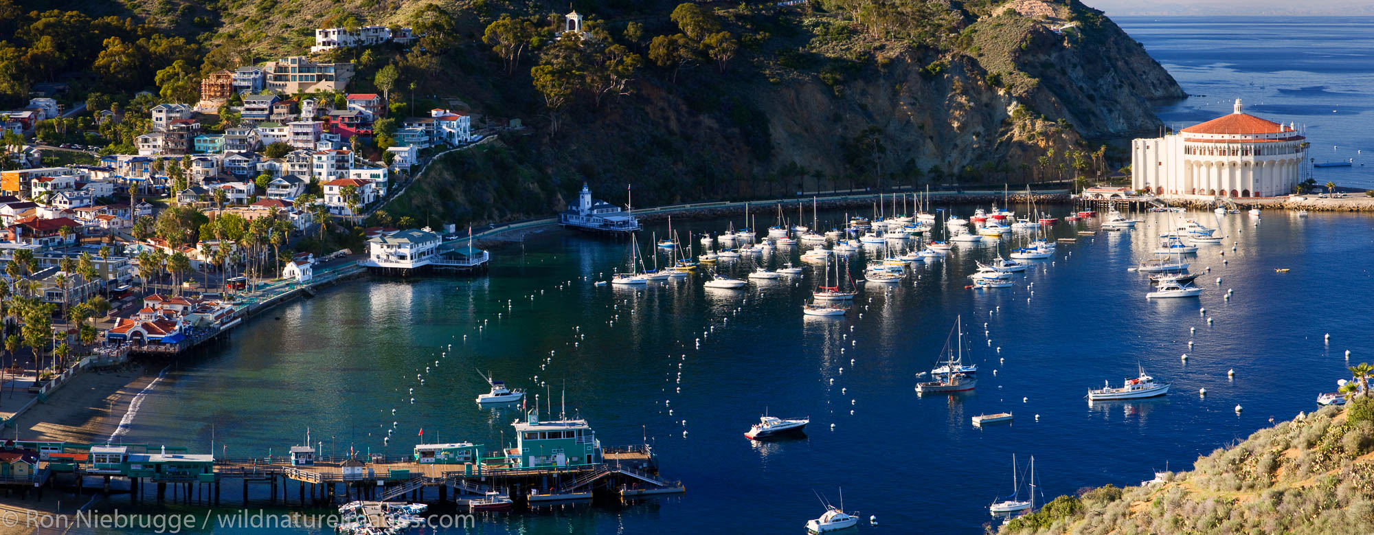 Avalon, Catalina Island, California.