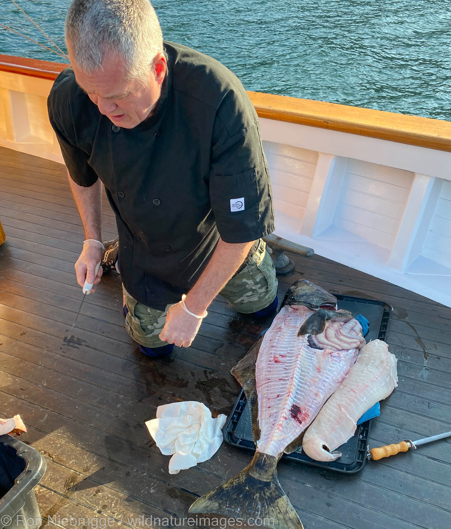 Chef taking care of a halibut caught while we were watching bears.