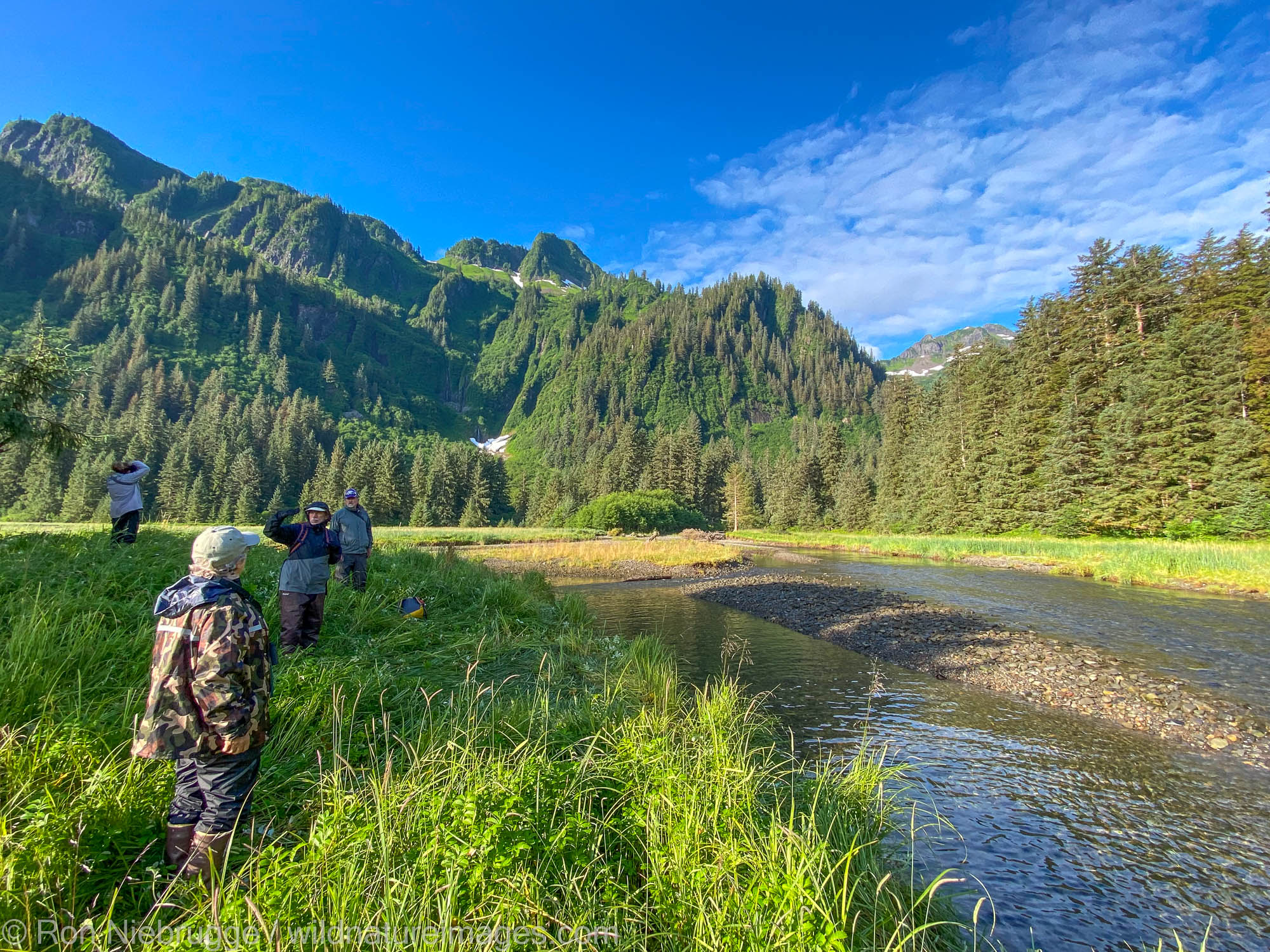 Tongass National Forest Enjoying the meadow, making photos and watching for bears