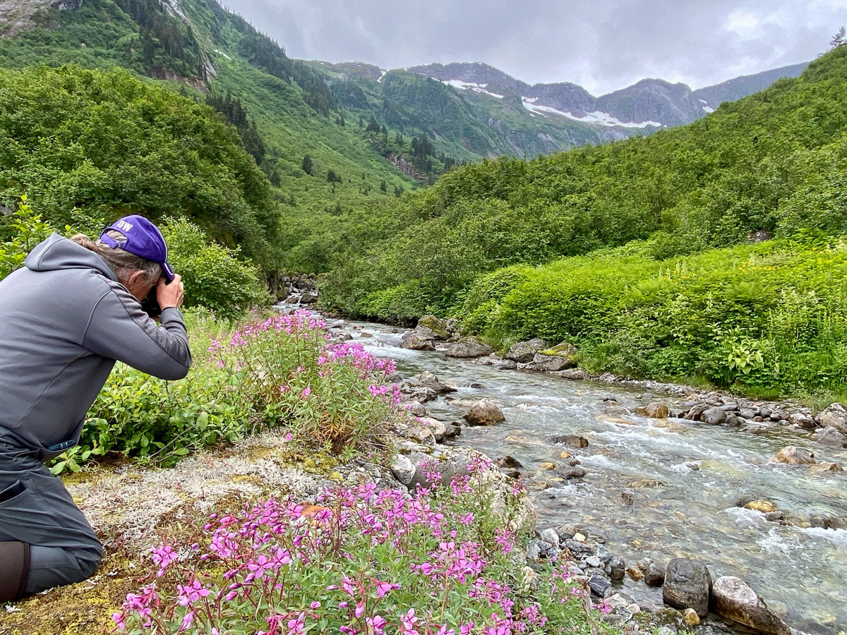 Ken working the wildflowers along Shakes Lake up the Stikine River.