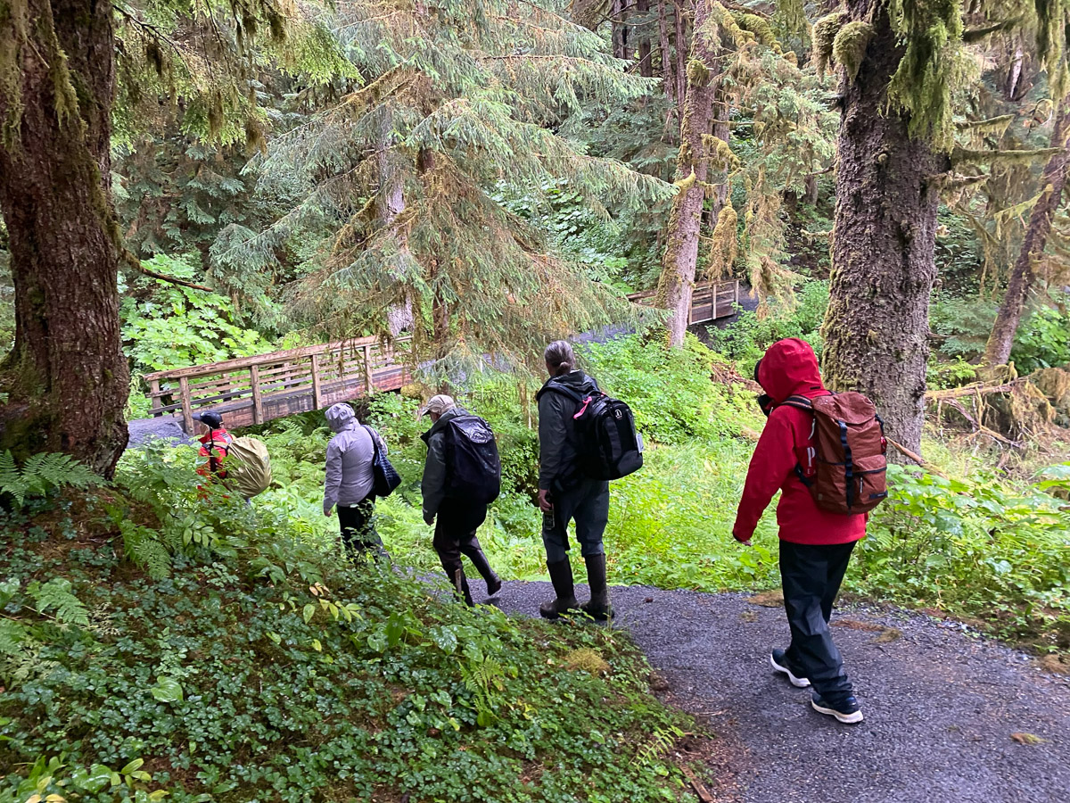 Hiking into the Anan Viewing area.  Iphone photo.  This is such a beautiful rainforest trail.