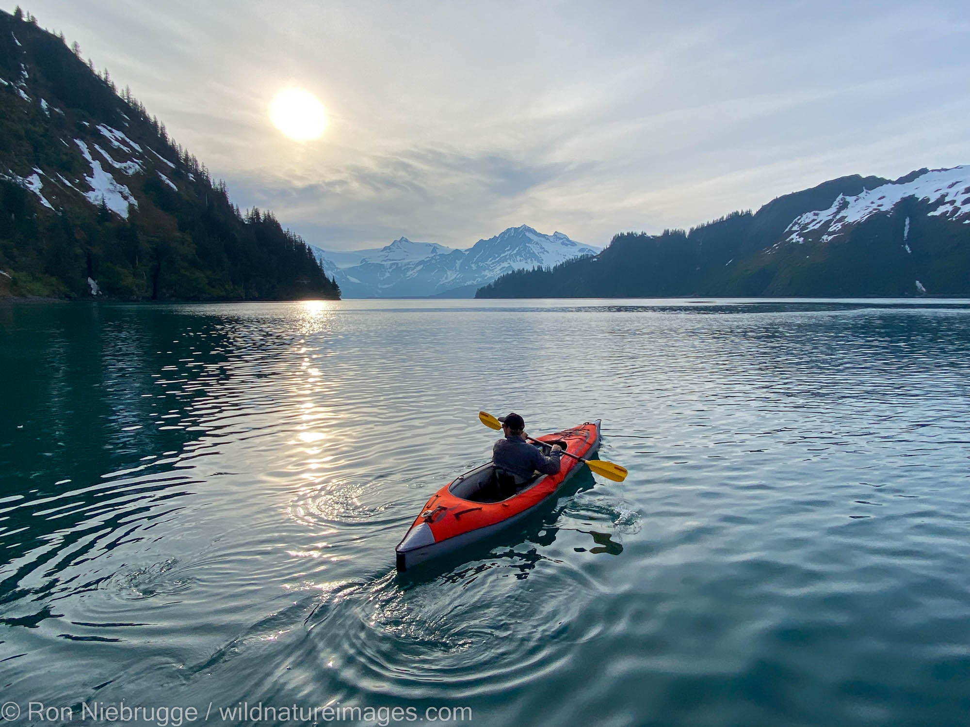 An evening paddle in Coleman Cove, Aialik Bay. IPhone