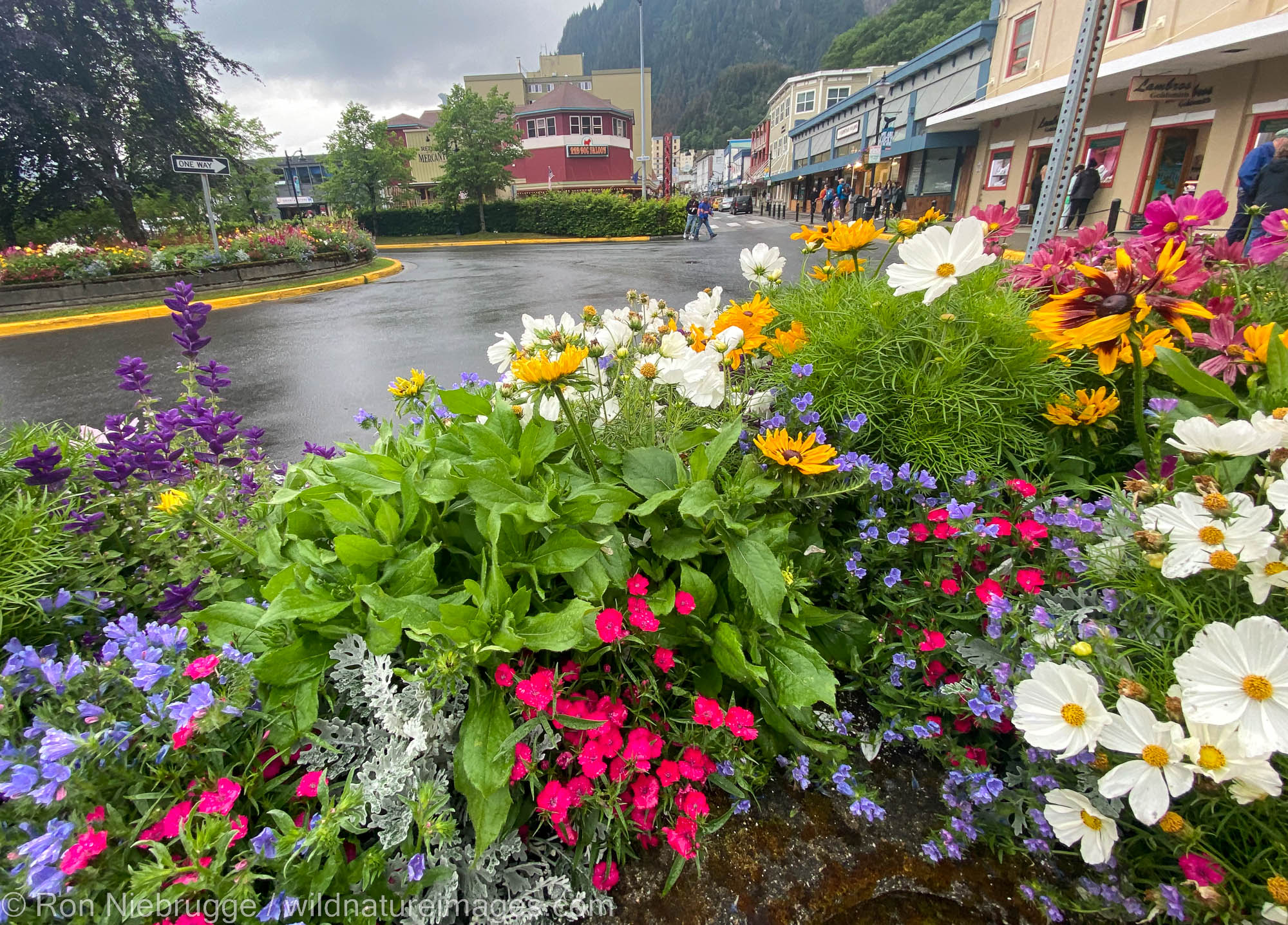 Downtown Juneau, Alaska.   Iphone photo.