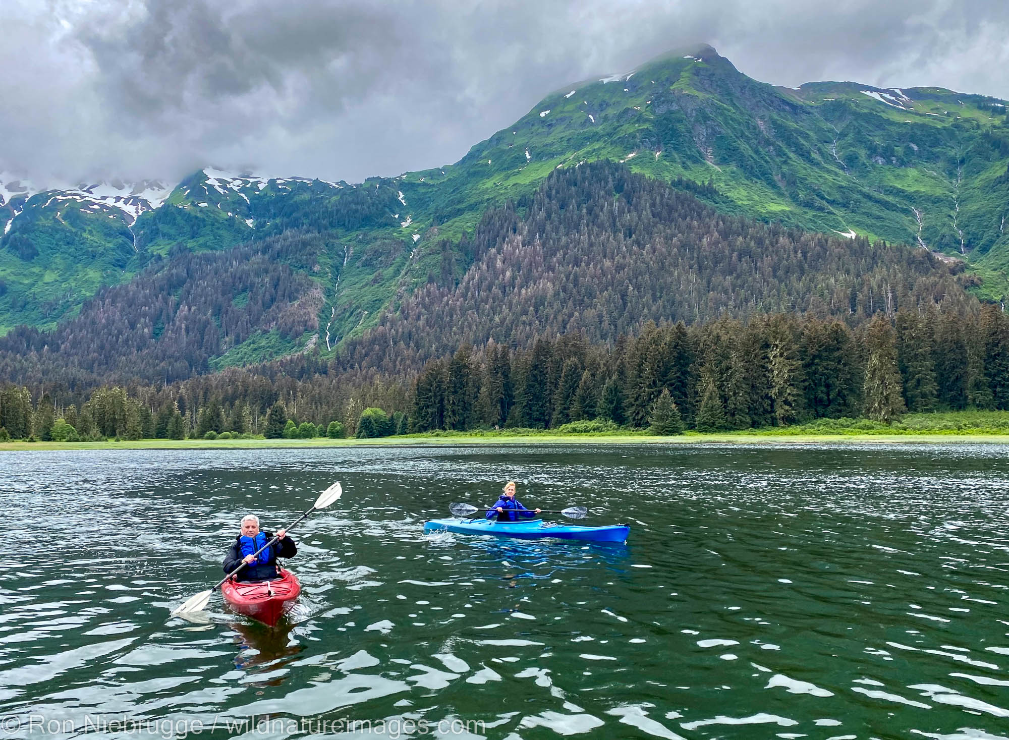 Kayaking in Windfall Harbor, Tongass National Forest Inside Passage, Alaska.   Iphone photo.