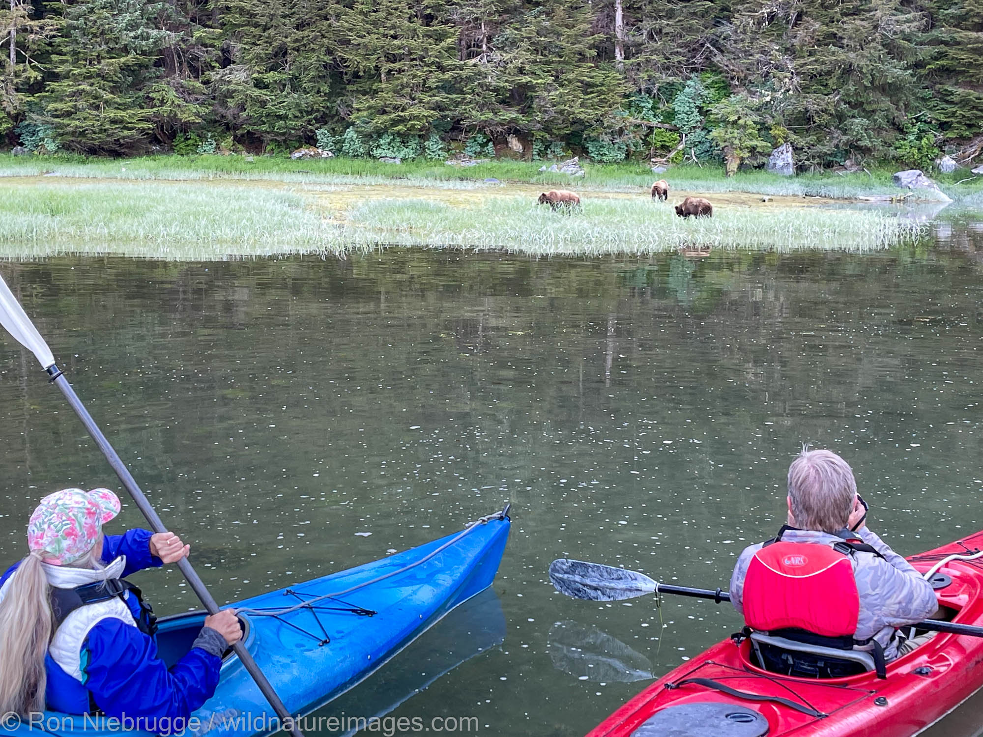 Kayaking and watching a brown bear sow with a couple of cubs.