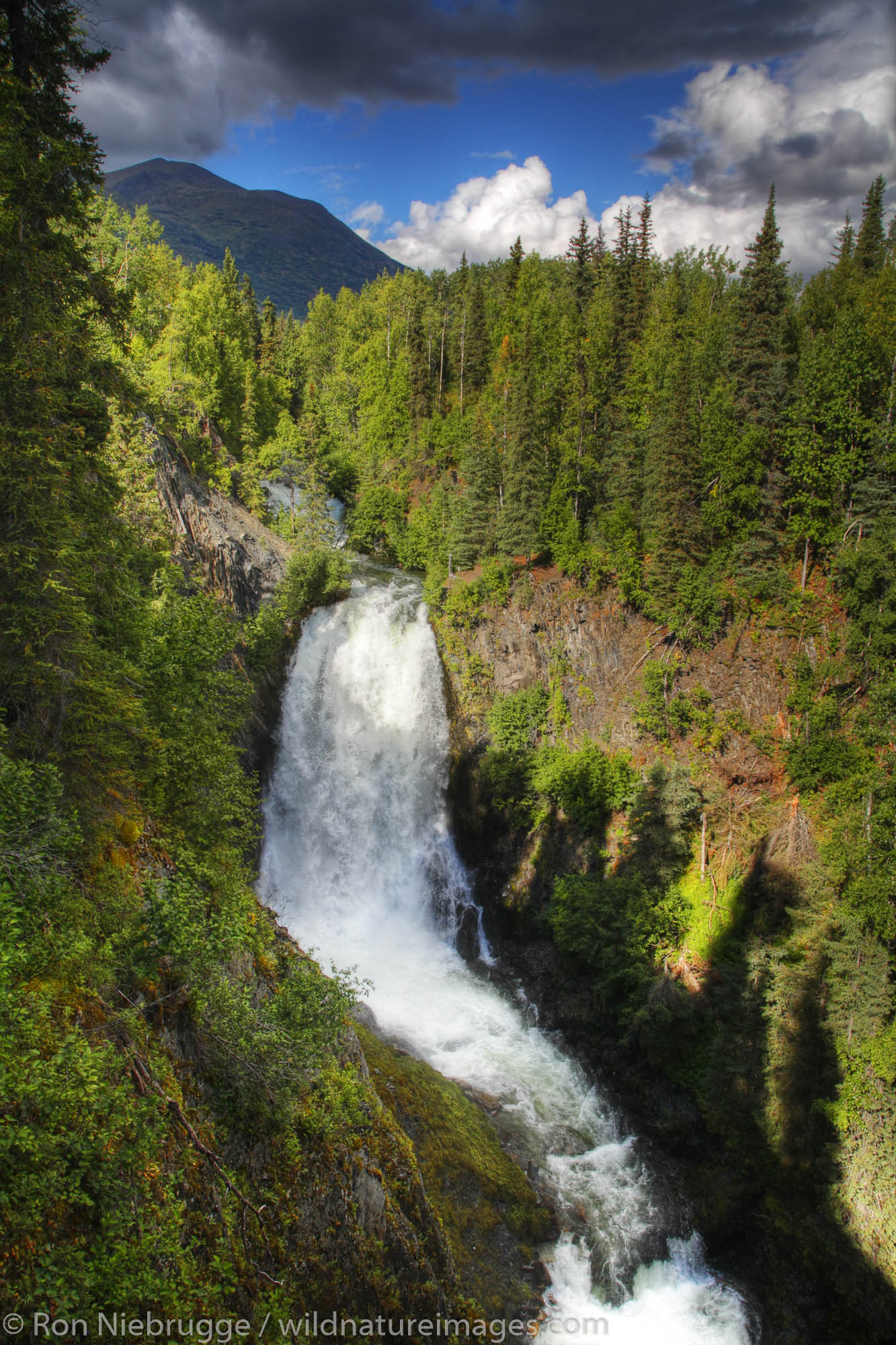 Juneau Falls along the Resurrection Pass Trail, Kenai Peninsula, Chugach National Forest, Alaska.