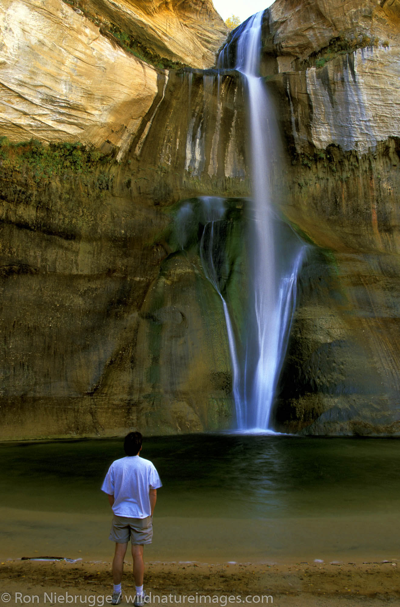 Lower Calf Creek Falls.  Grandstaircase-Escalante National Monument, Utah.  MR