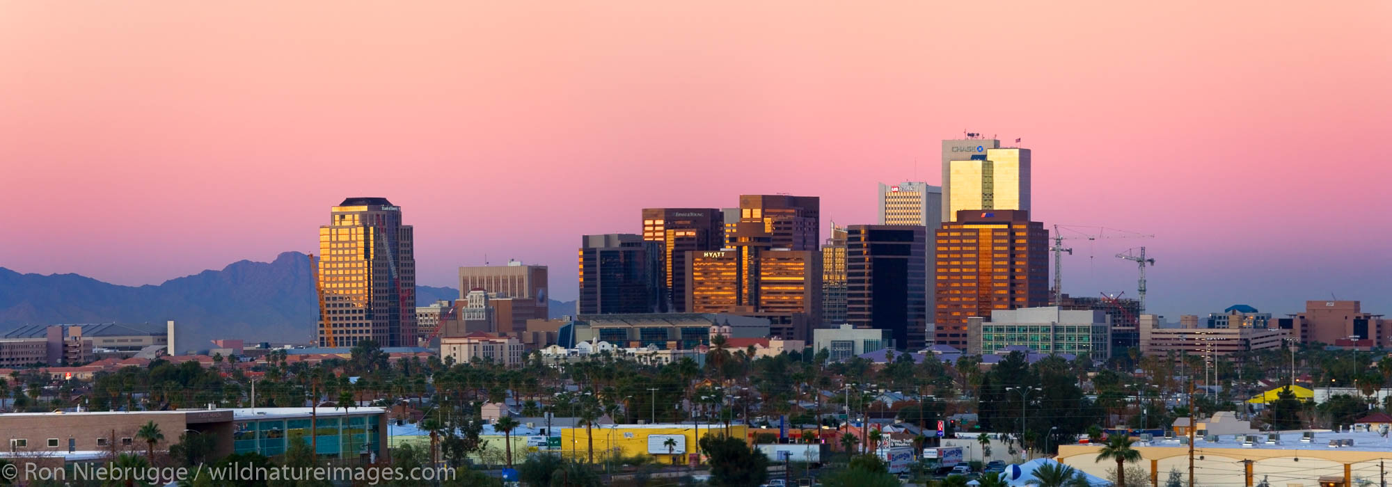 Panoramic of the Phoenix skyline at sunrise, Arizona.