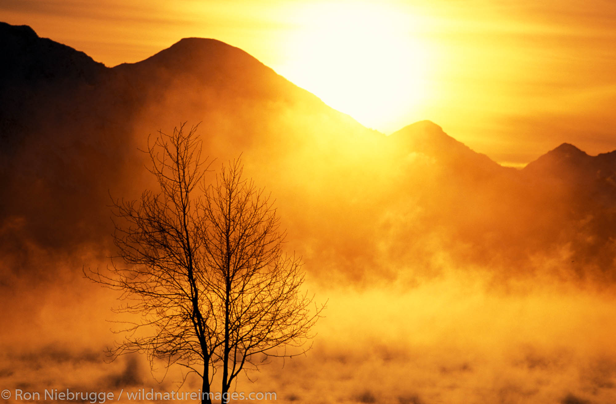 Winter ice fog on Resurrection Bay at Sunrise.  Ice fog forms when winter tempetures near 0 degees F.  Seward, Alaska.