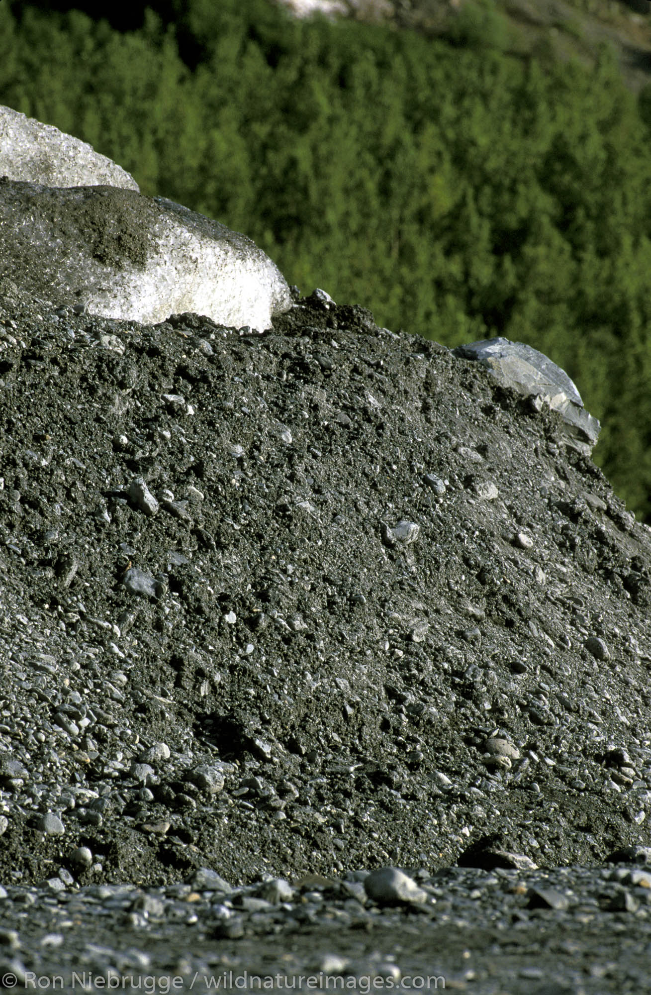 Terminal Moraine Alaska Photos by Ron Niebrugge