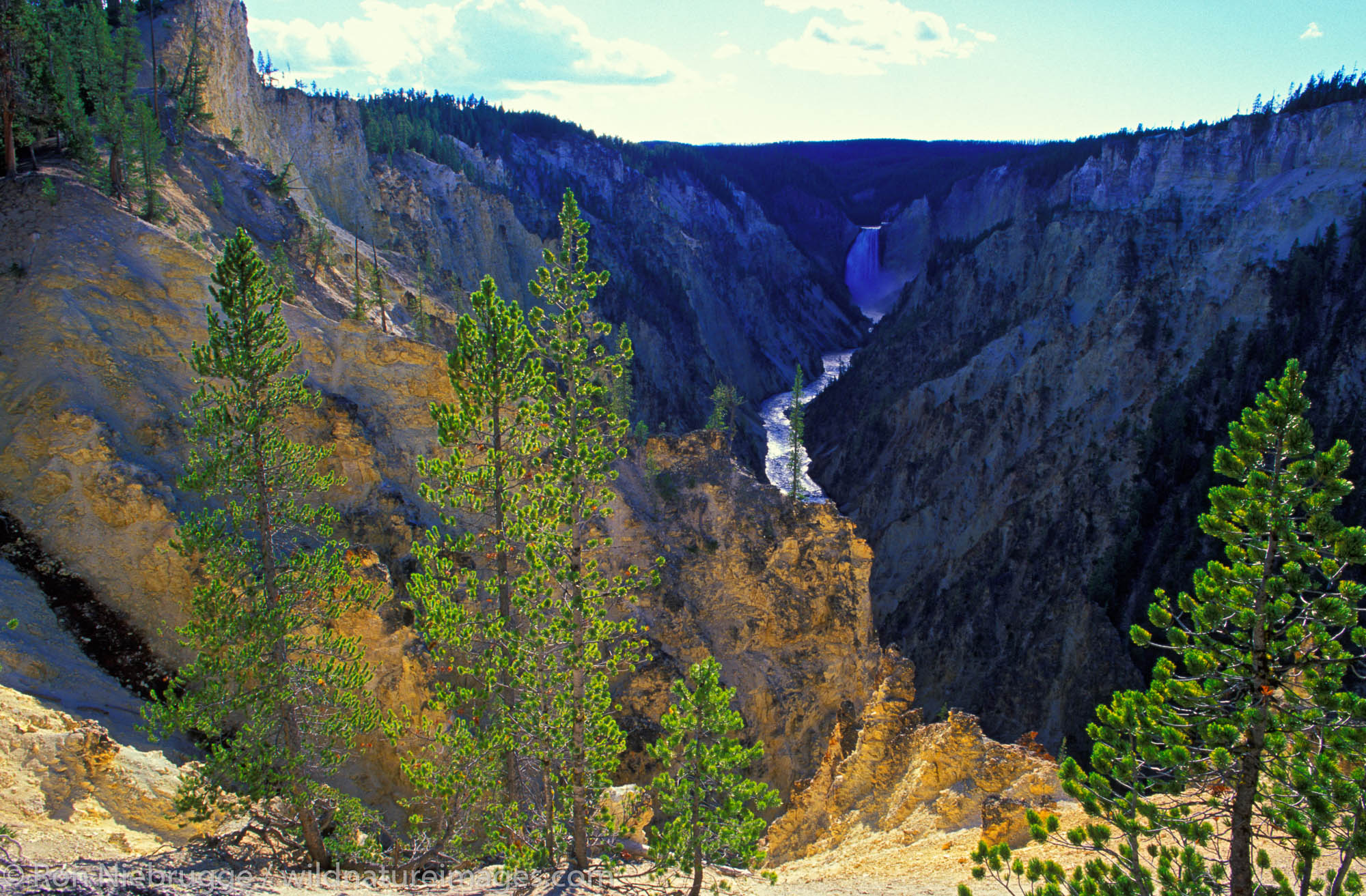 The Grand Canyon of Yellowstone National Park, Wyoming.