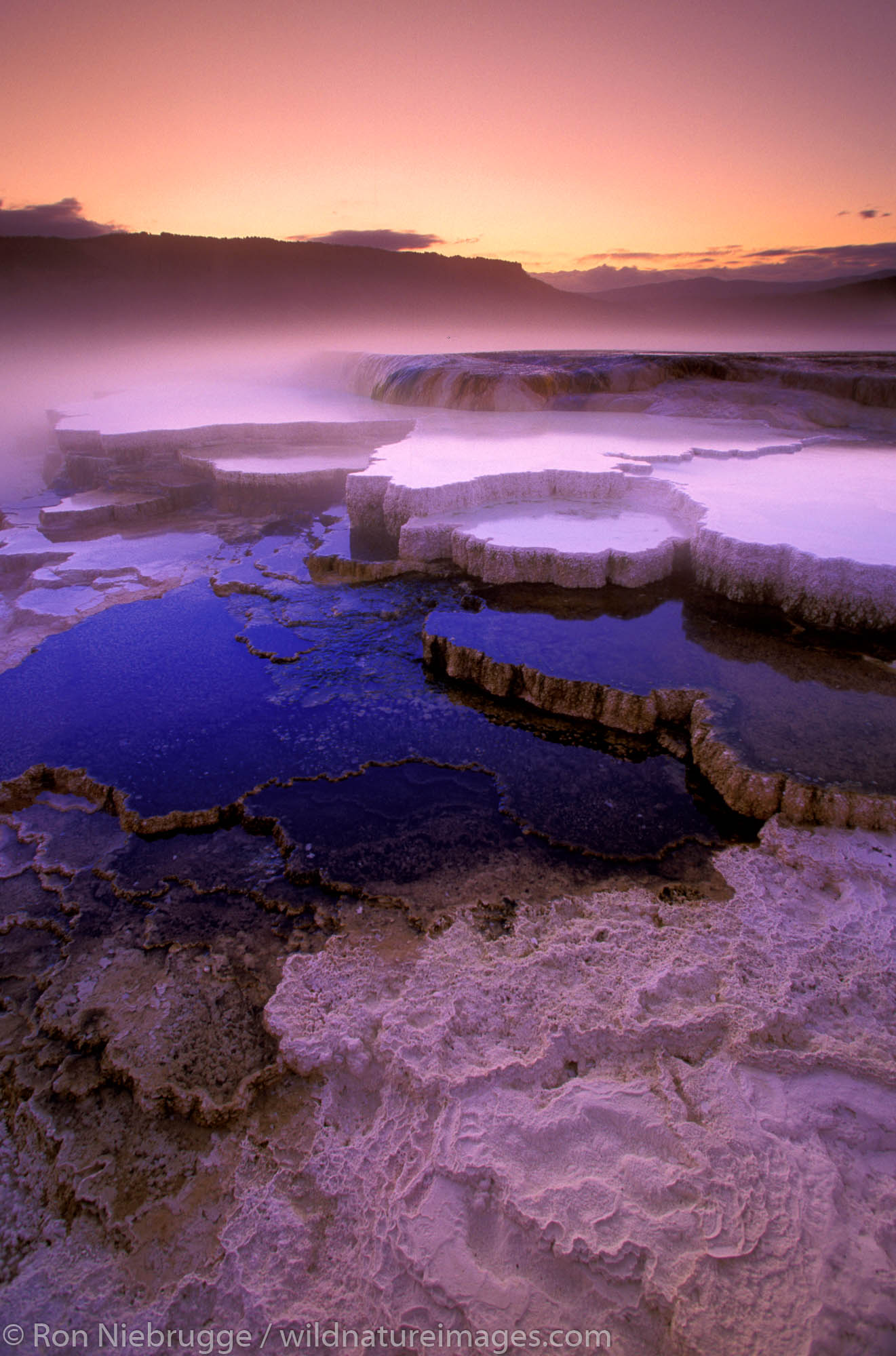 Mammoth Terraces.  Yellowstone National Park, Wyoming.
